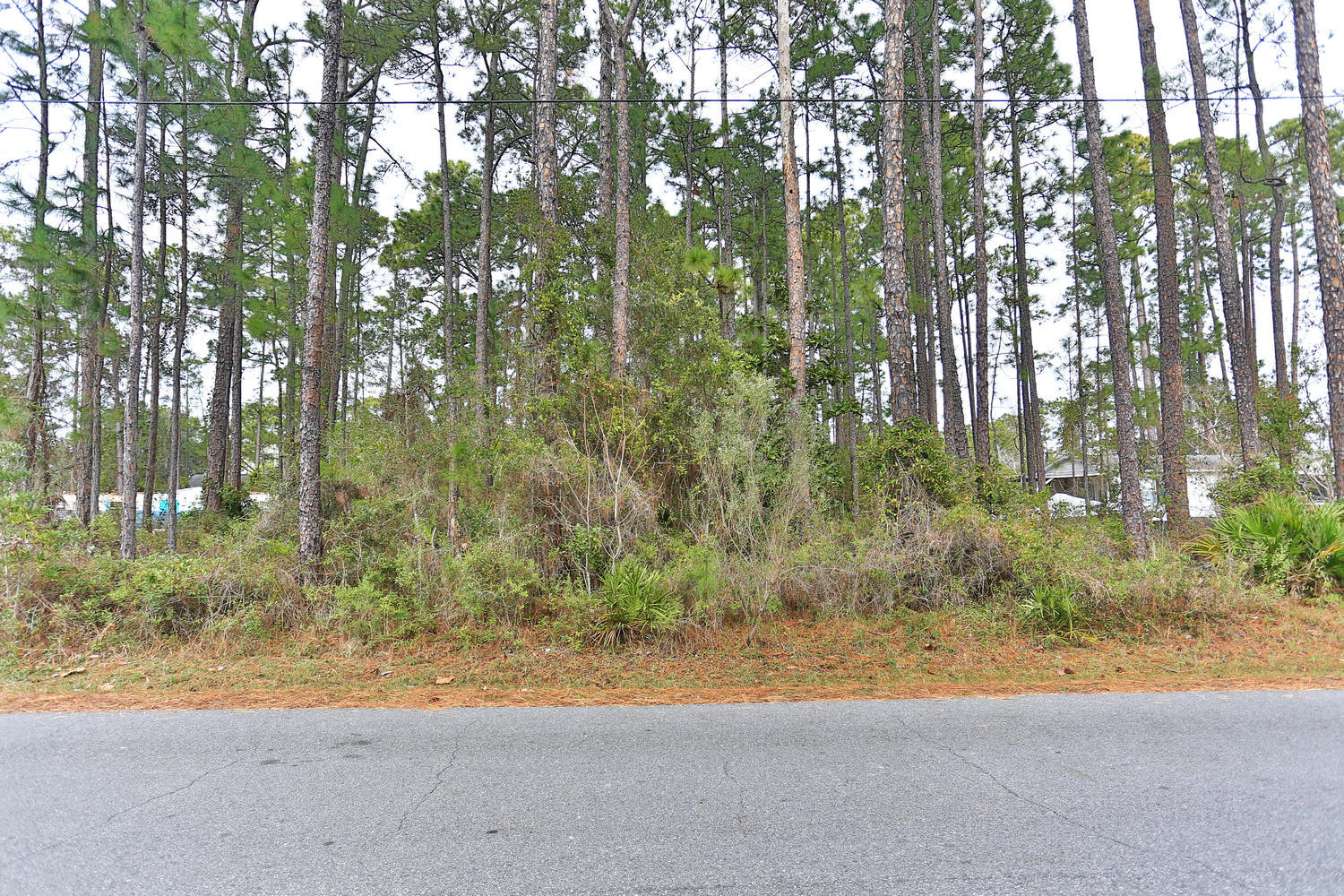 ELIZABETH FARMS 4TH ADDN UNREC - Land