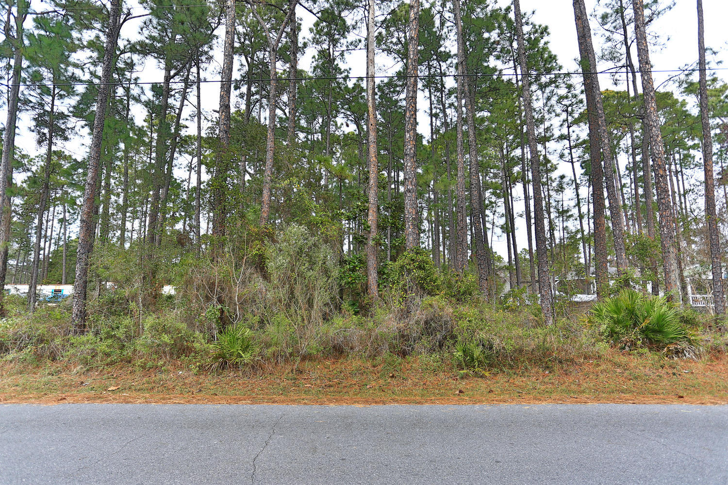 ELIZABETH FARMS 4TH ADDN UNREC - Land