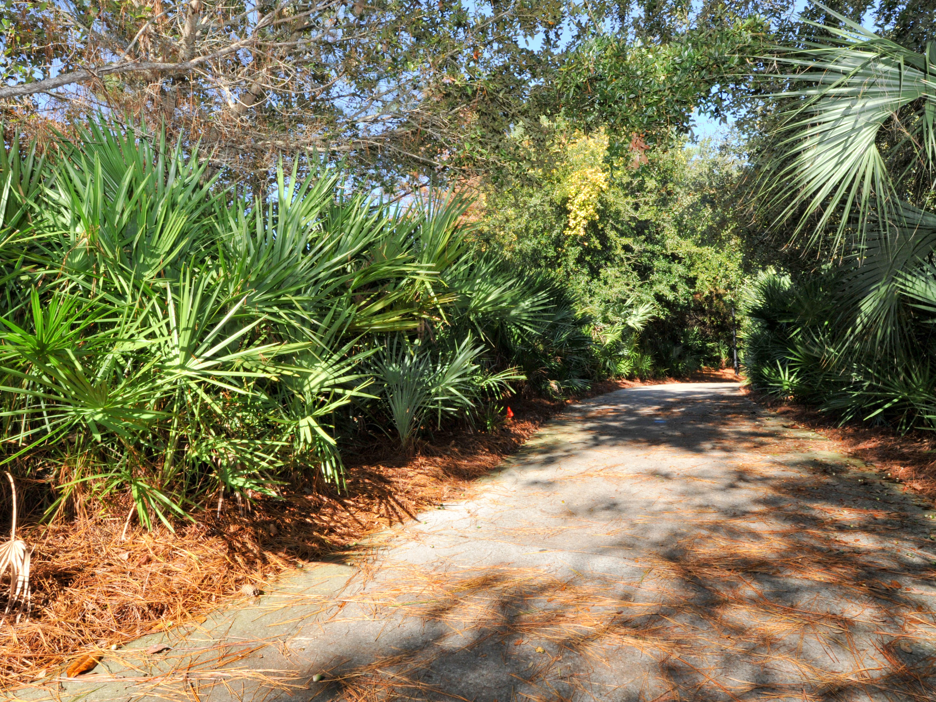 Pilot House - Residential