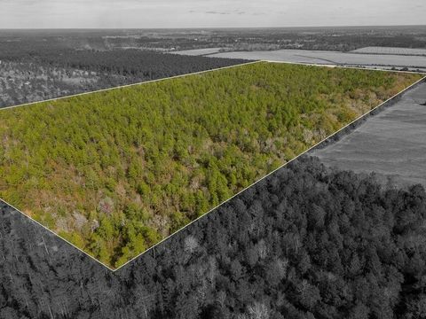 Photo of 0000 N bob brooks road, Baker, FL 32531 (MLS # 987553)