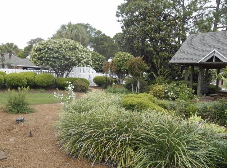 EAGLES LANDING S/D - Residential