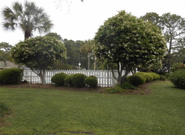 EAGLES LANDING S/D - Residential