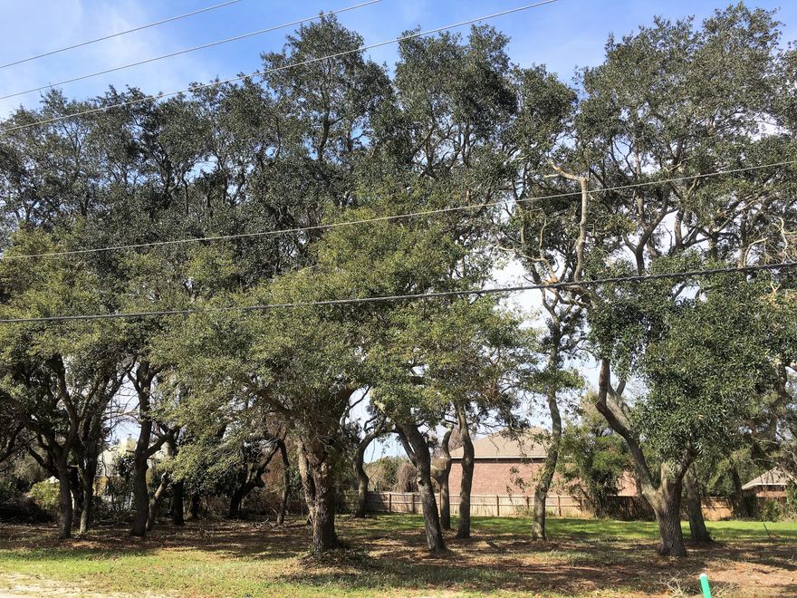 Great lot in the Heart of Destin. Build your dream home near schools, shopping and easy access to both bridges. Water Tap Fee Paid. Sewer is not. .