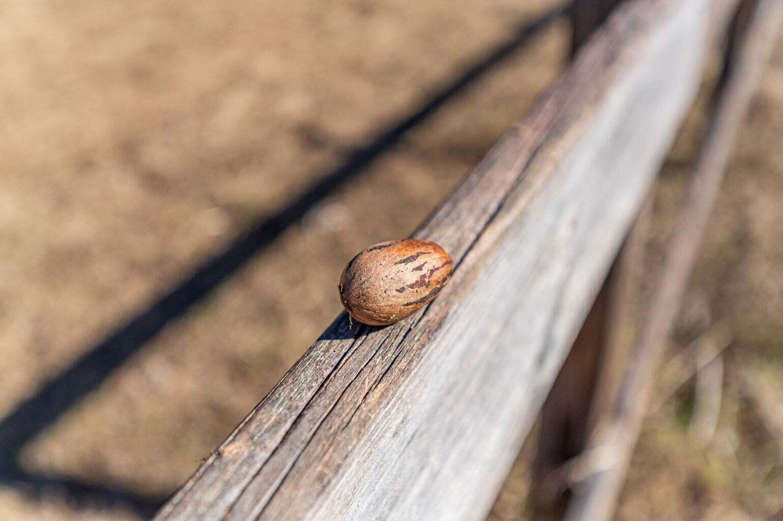 METES & BOUNDS - Land