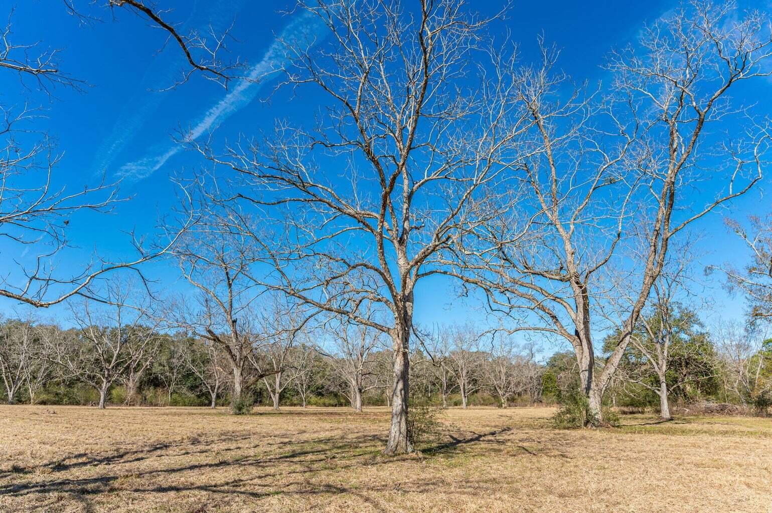 METES & BOUNDS - Land