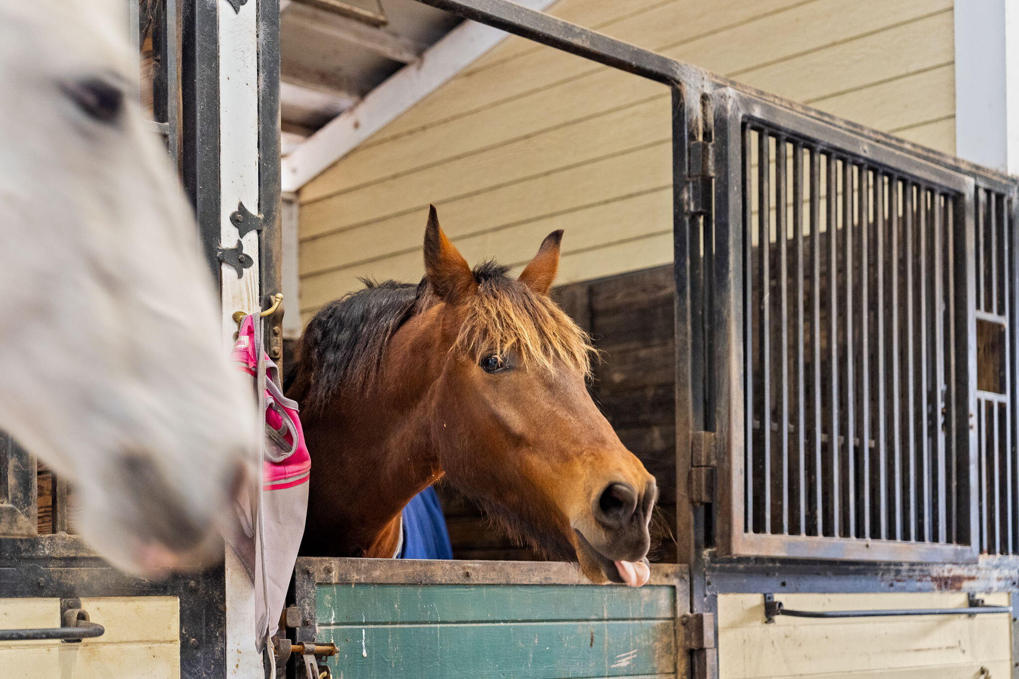 NORMANDALE ESTATES - Residential