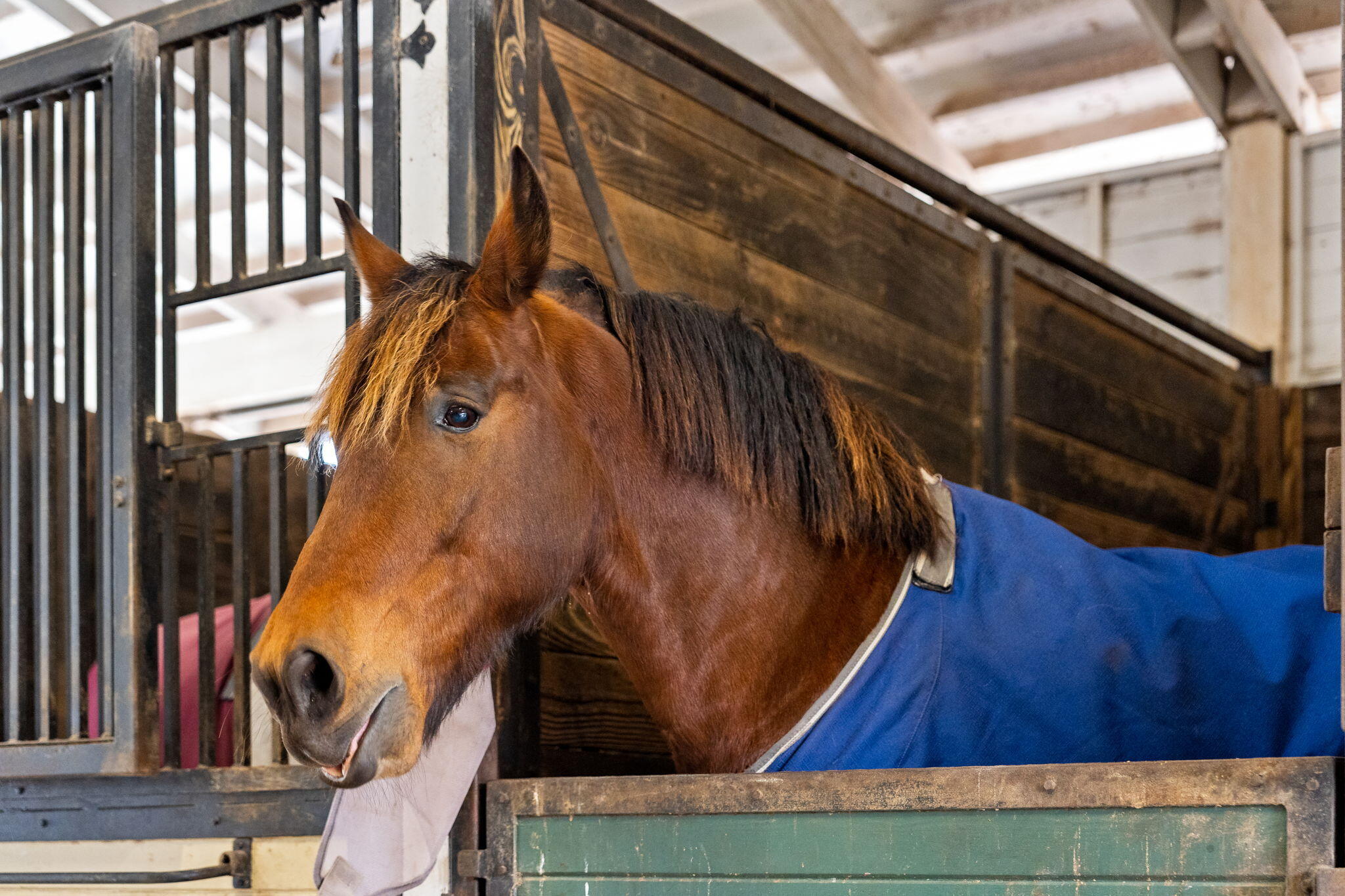 NORMANDALE ESTATES - Residential