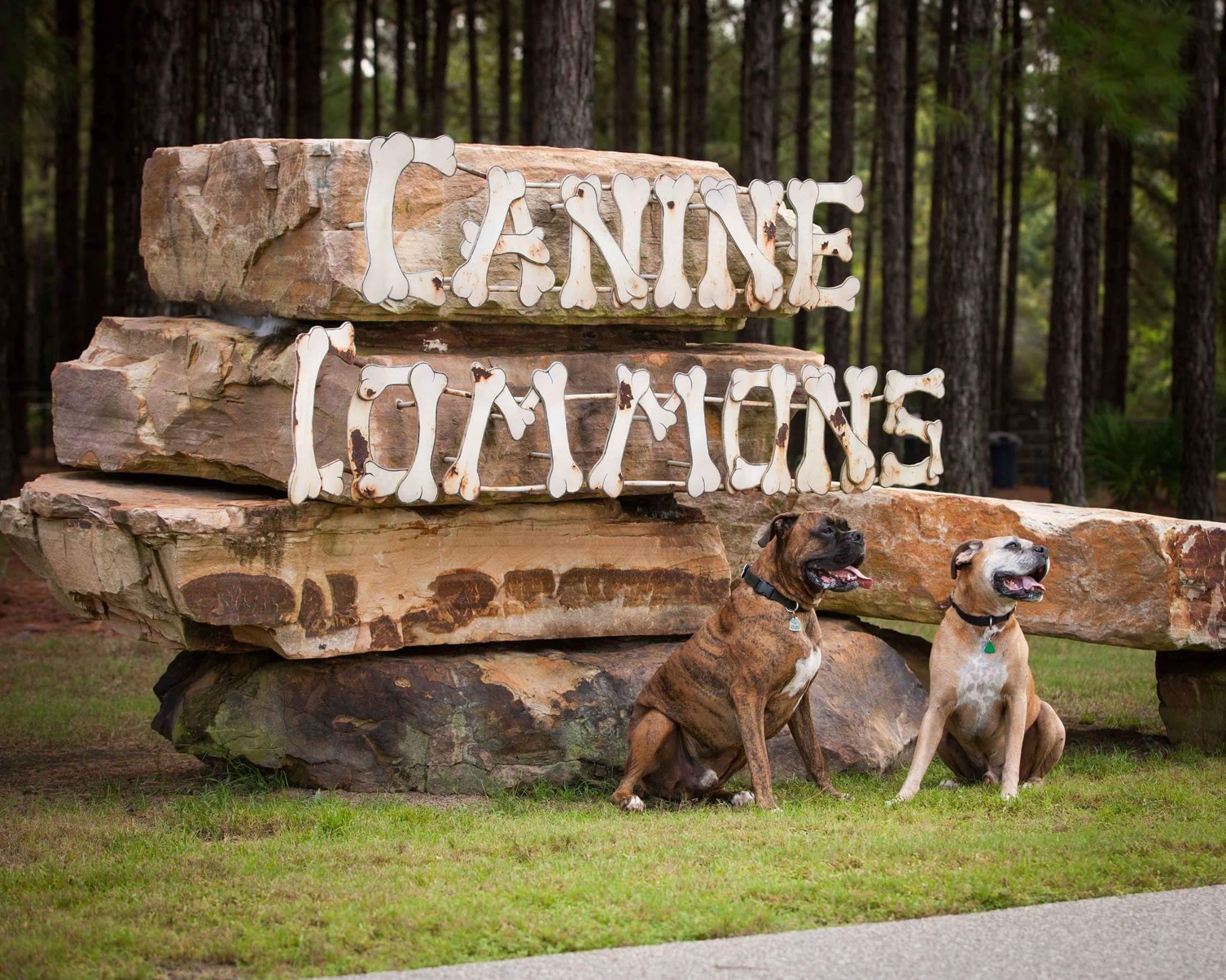 HAMMOCK BAY - CRESCENT MILL - Residential