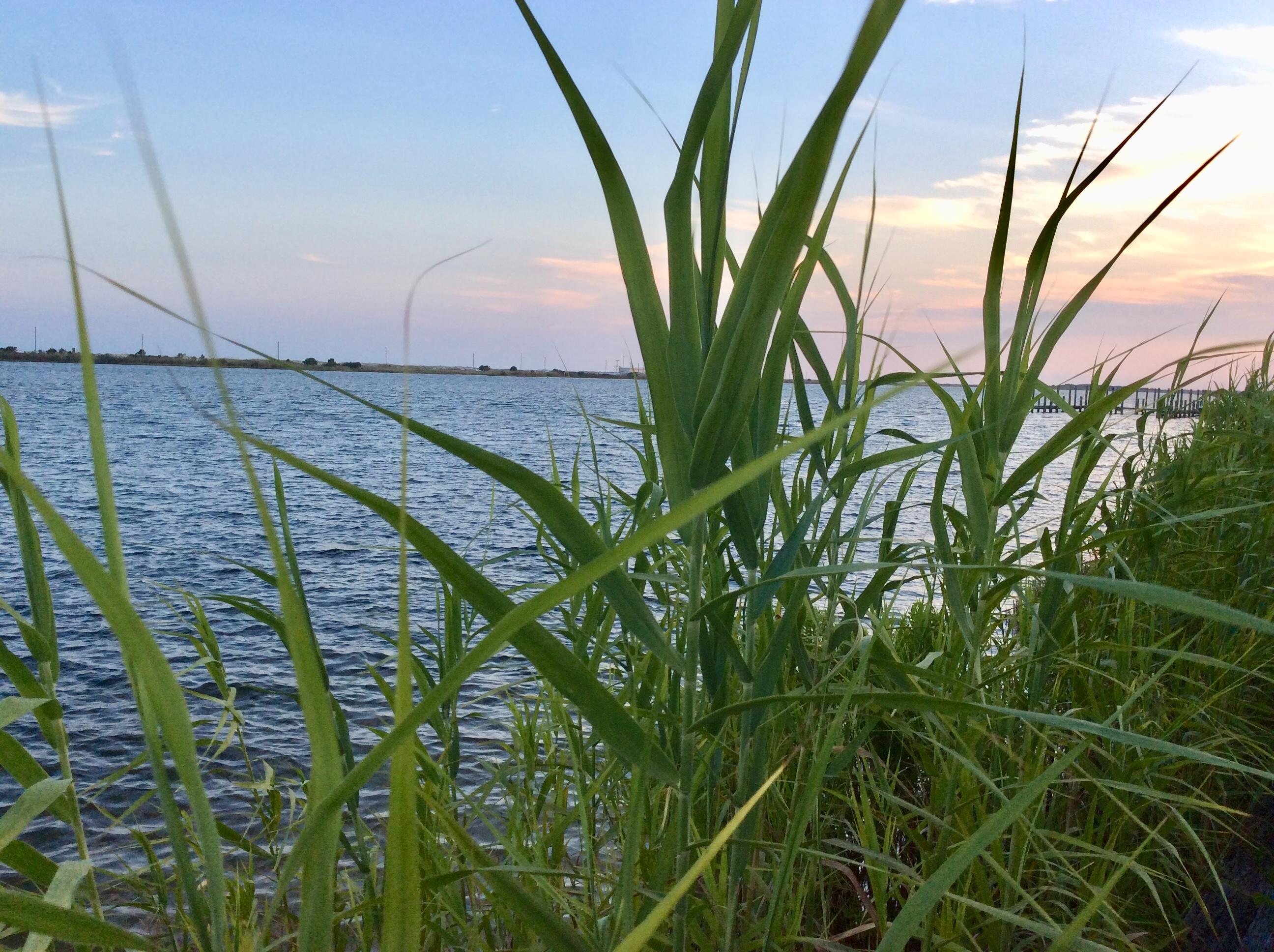 FOUNTAINHEAD CONDO - Residential