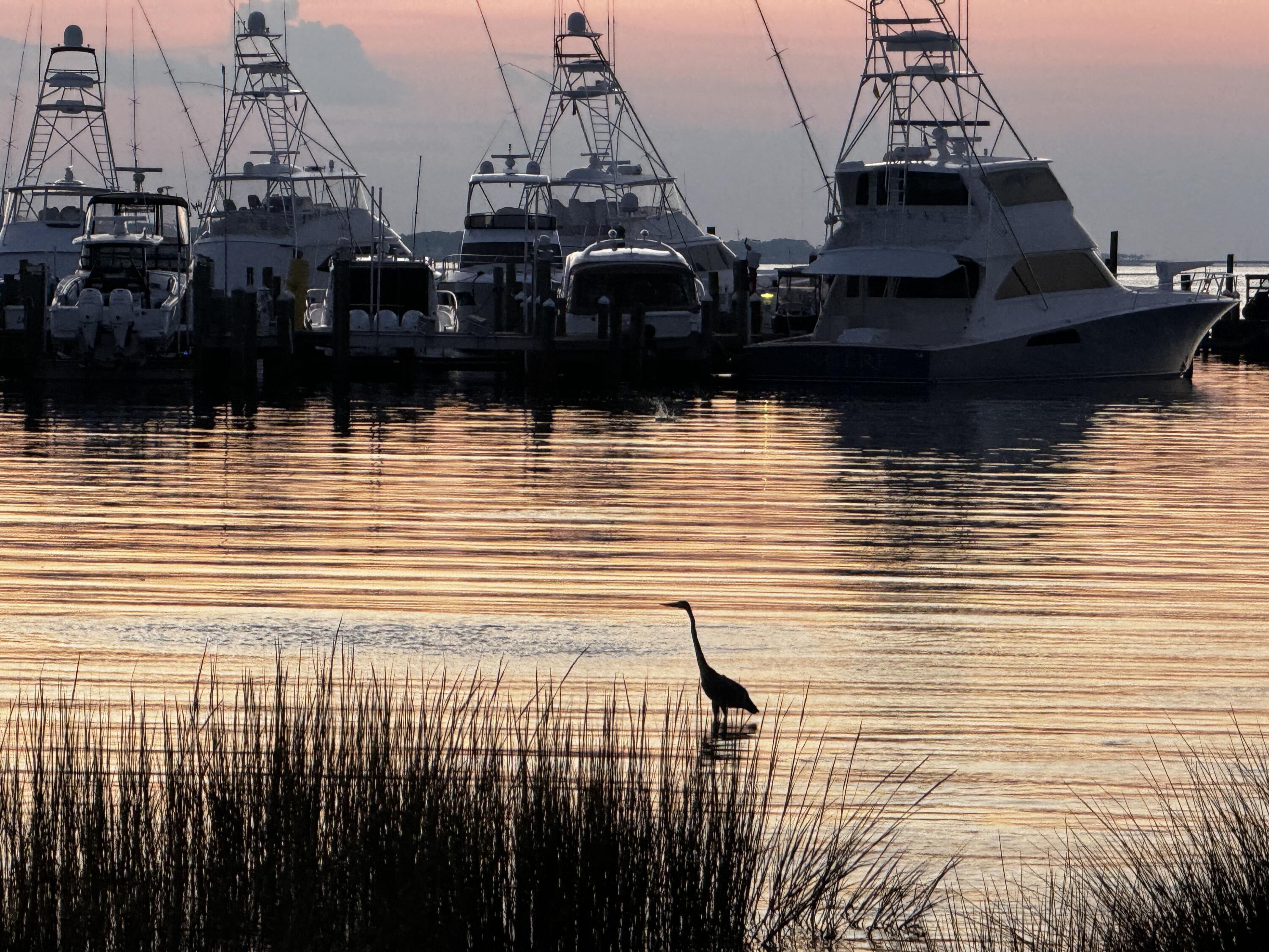 ELATION - Residential