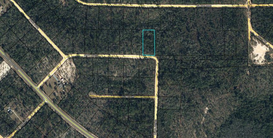 Large 1.181 acre lot in Compass Lake in the Hills. There is a voluntary HOA of $135 a year, but what a great price for all the amenities that are included such as: access to 2 lakes for fishing, tennis, horse stables / riding, rental cabins, RV spots, boat rentals, clubhouse, and a golf range. Being an all-sports lake, enjoy water skiing, tubing, jet skiing, boating, sailing, kayaking & swimming. No need to worry about lunch while out on the water when you have a boat accessible shoreline restaurant. This location is great for someone who enjoys nature and a short drive to the beach since it is located half way between Panama City And Dothan. The area is rich in historical significance, with many restored antebellum plantation homes open for tours or as bed-and-breakfast SELLER HAS MANY PARCELS, ALL LISTED, AND WILLING TO SELL INDIVIDUAL OR IN A PACKAGE 