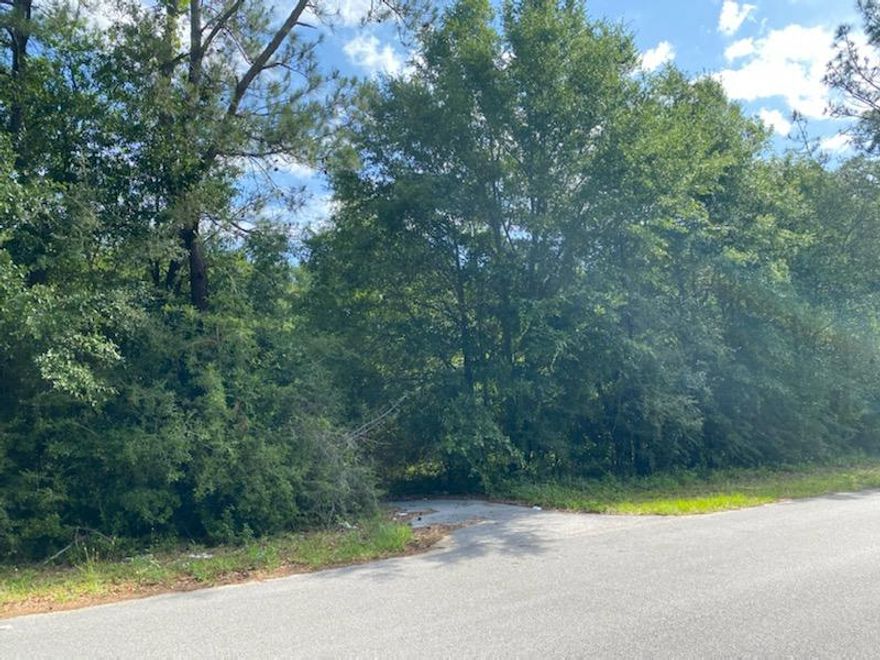 Bring your floor plans today! Your forever home spot is here right in the heart of Crestview, conveniently located to local schools, multiple grocery stores, and much more to meet your needs! Parcels B and C being marketed together.