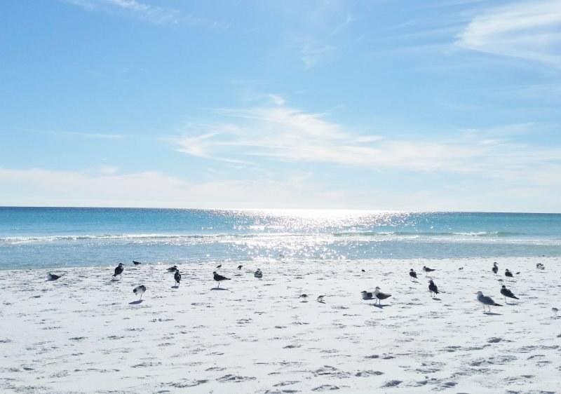 CHATEAU LA MER CONDO 2 PHASE 2 - Residential