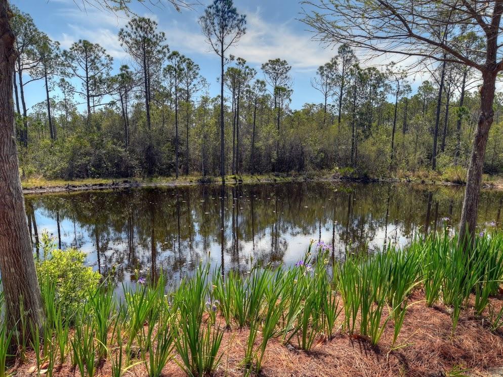 WATERCOLOR - Residential