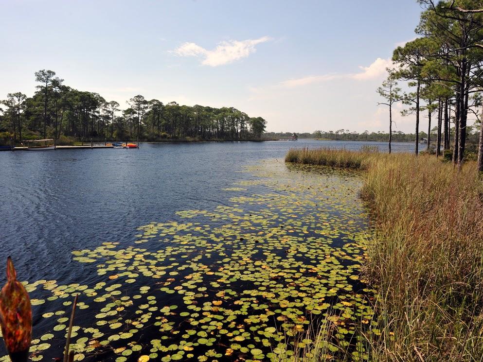 WATERCOLOR - Residential