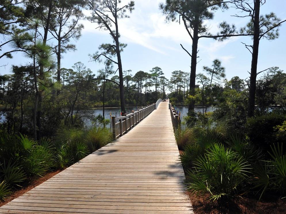 WATERCOLOR - Residential