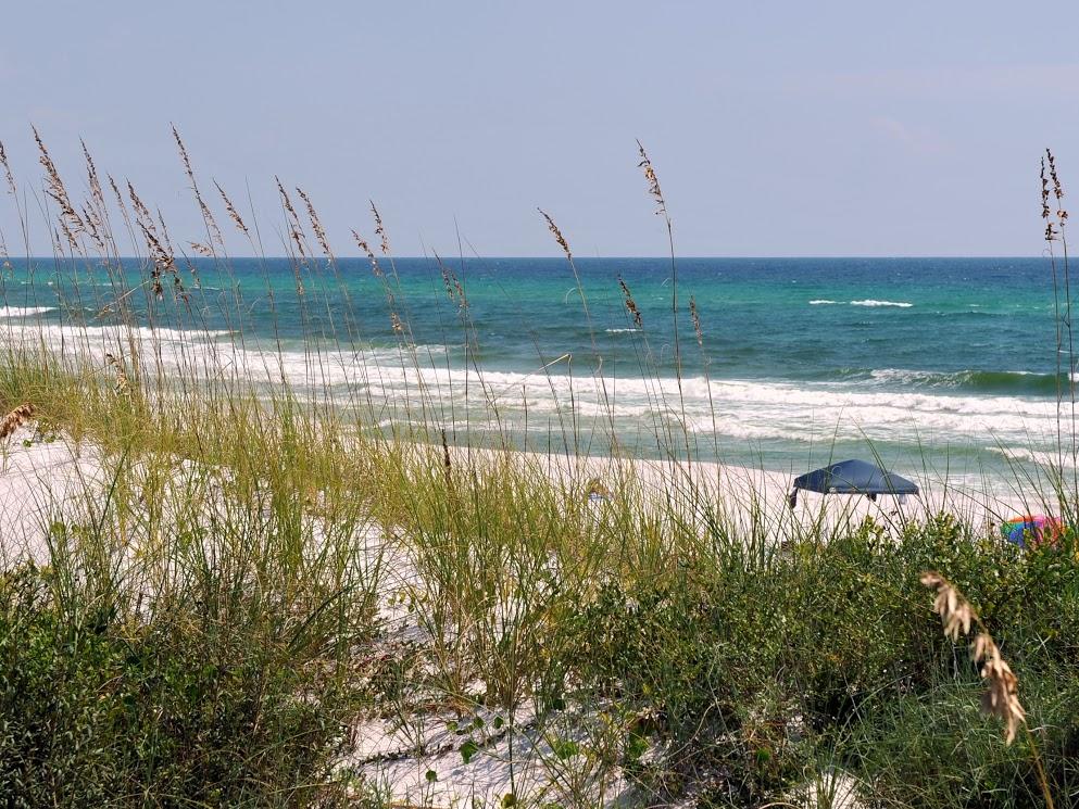 WATERCOLOR - Residential