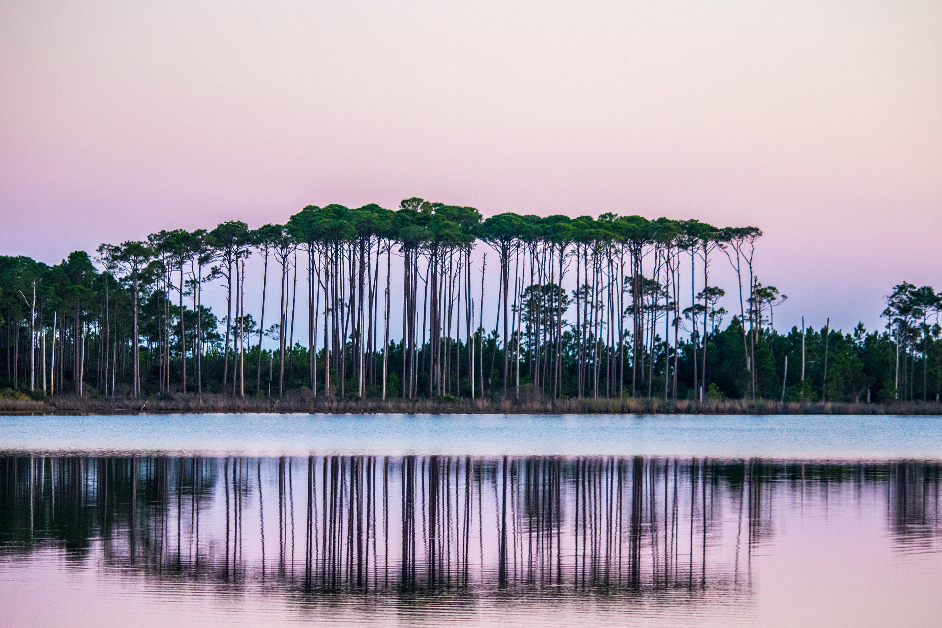 WATERCOLOR - Residential