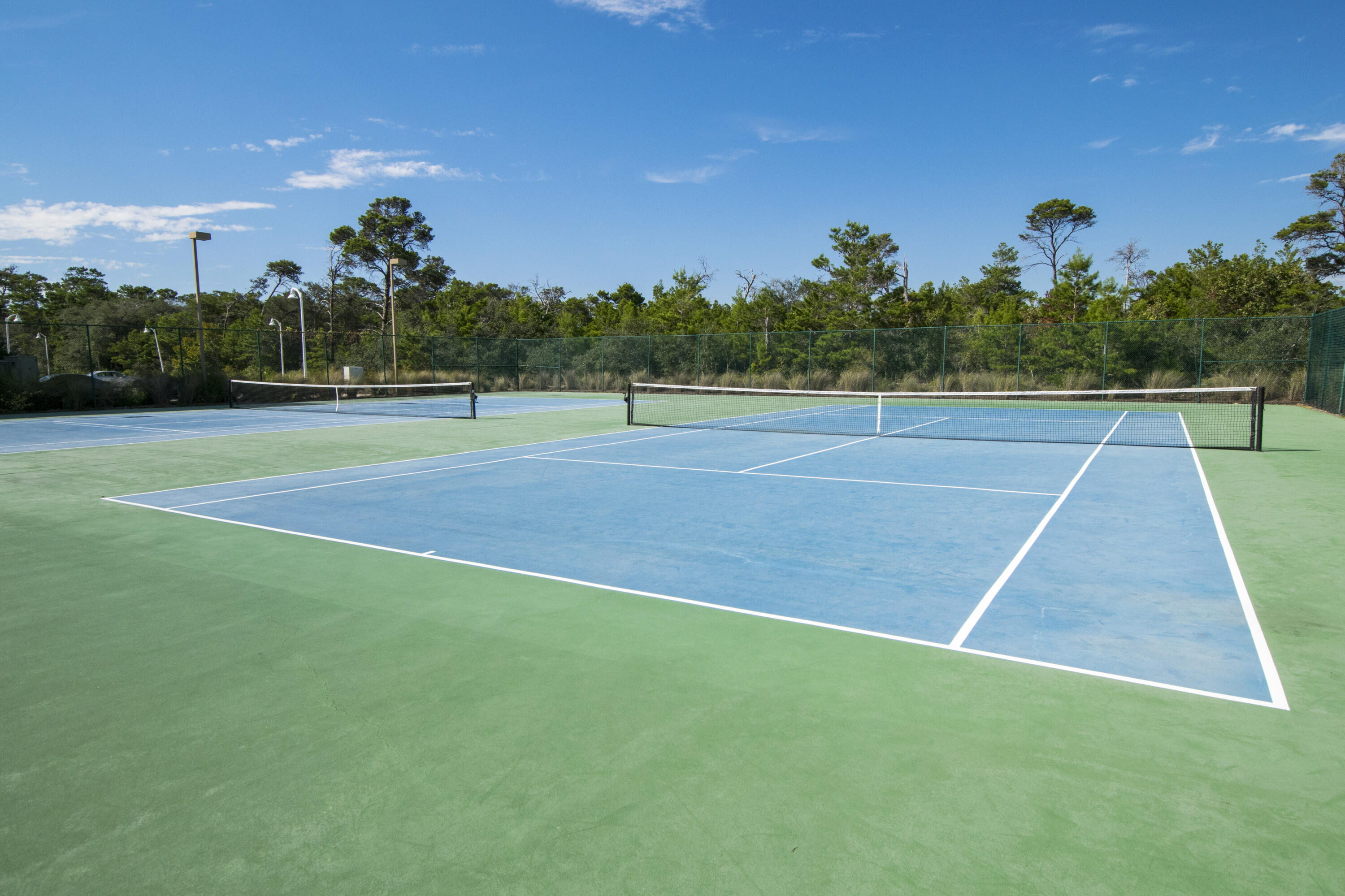 THE PRESERVE AT GRAYTON BEACH - Residential