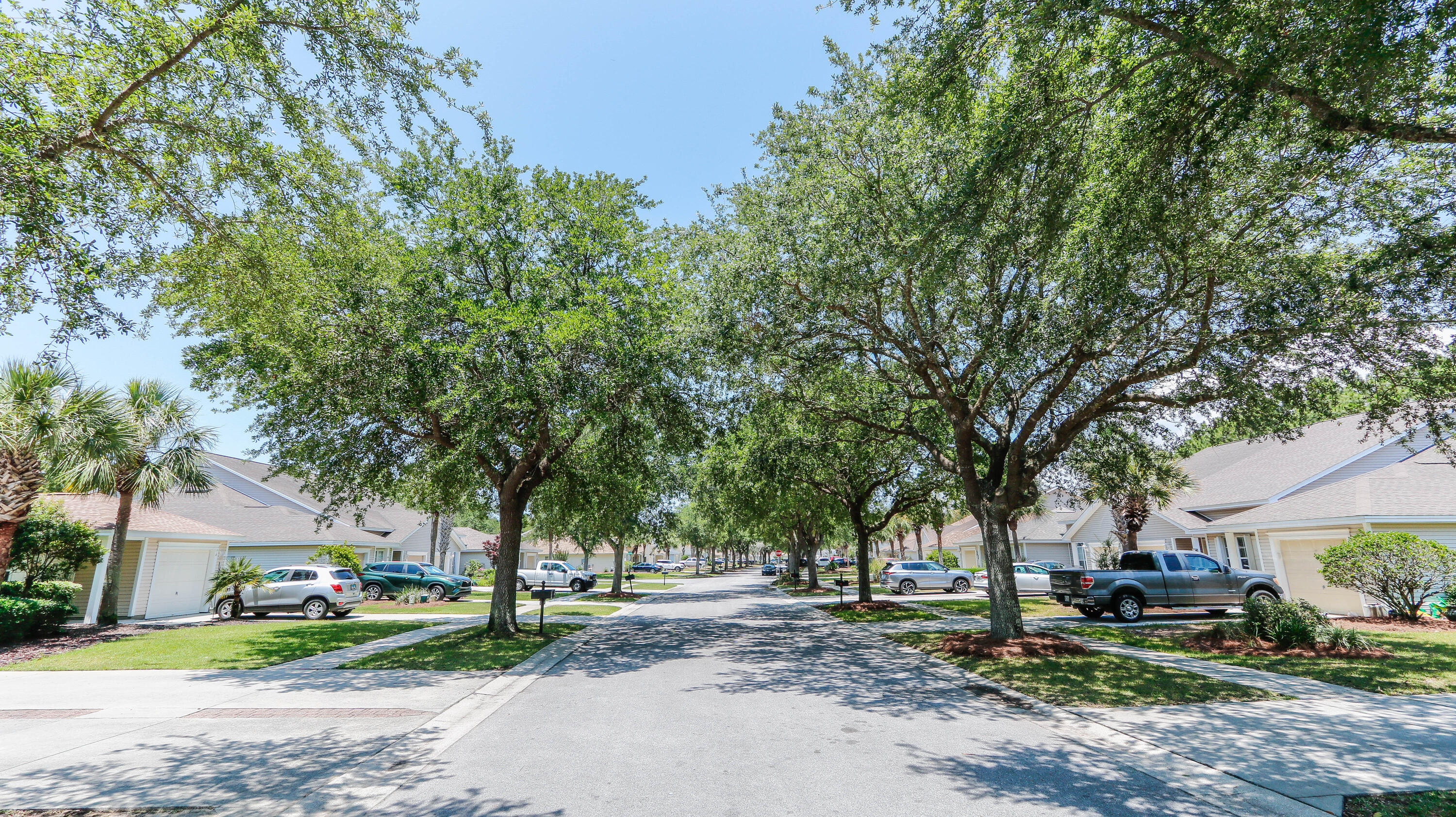 PALMETTO TRACE PHASE 2 - Residential