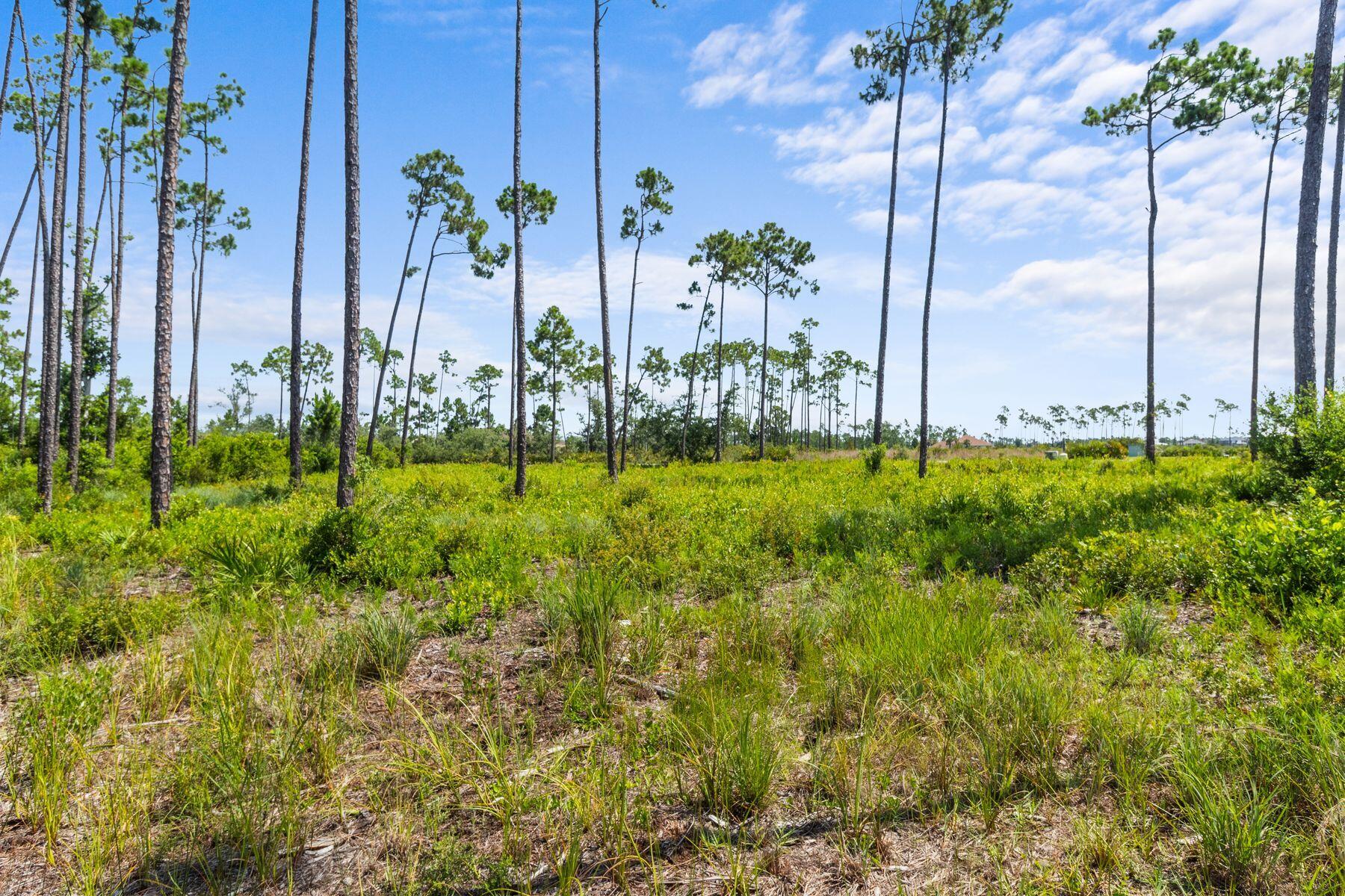 Laird Bayou - Land
