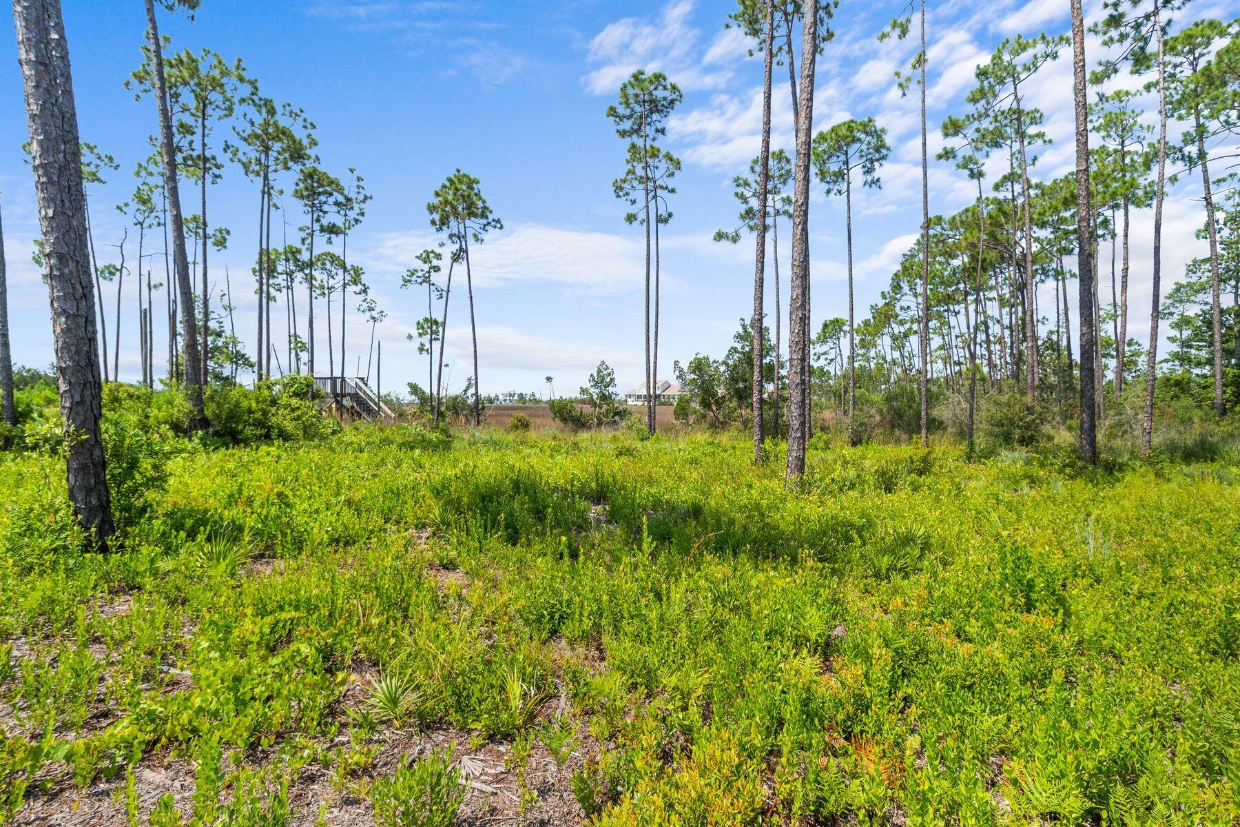 Laird Bayou - Land