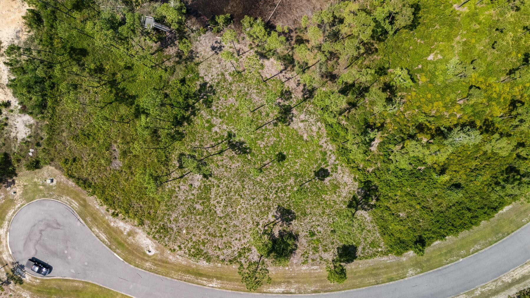 Laird Bayou - Land