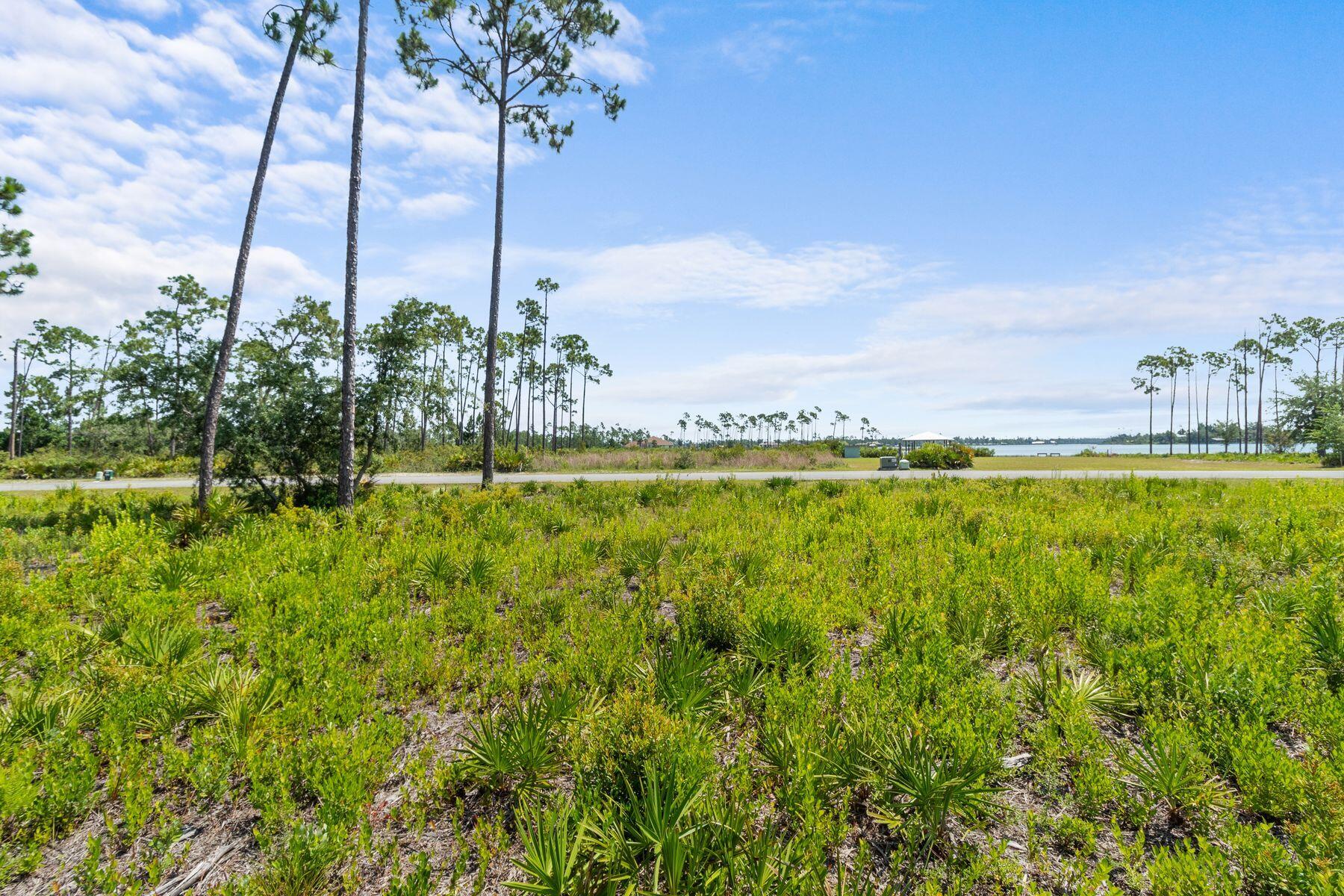 Laird Bayou - Land