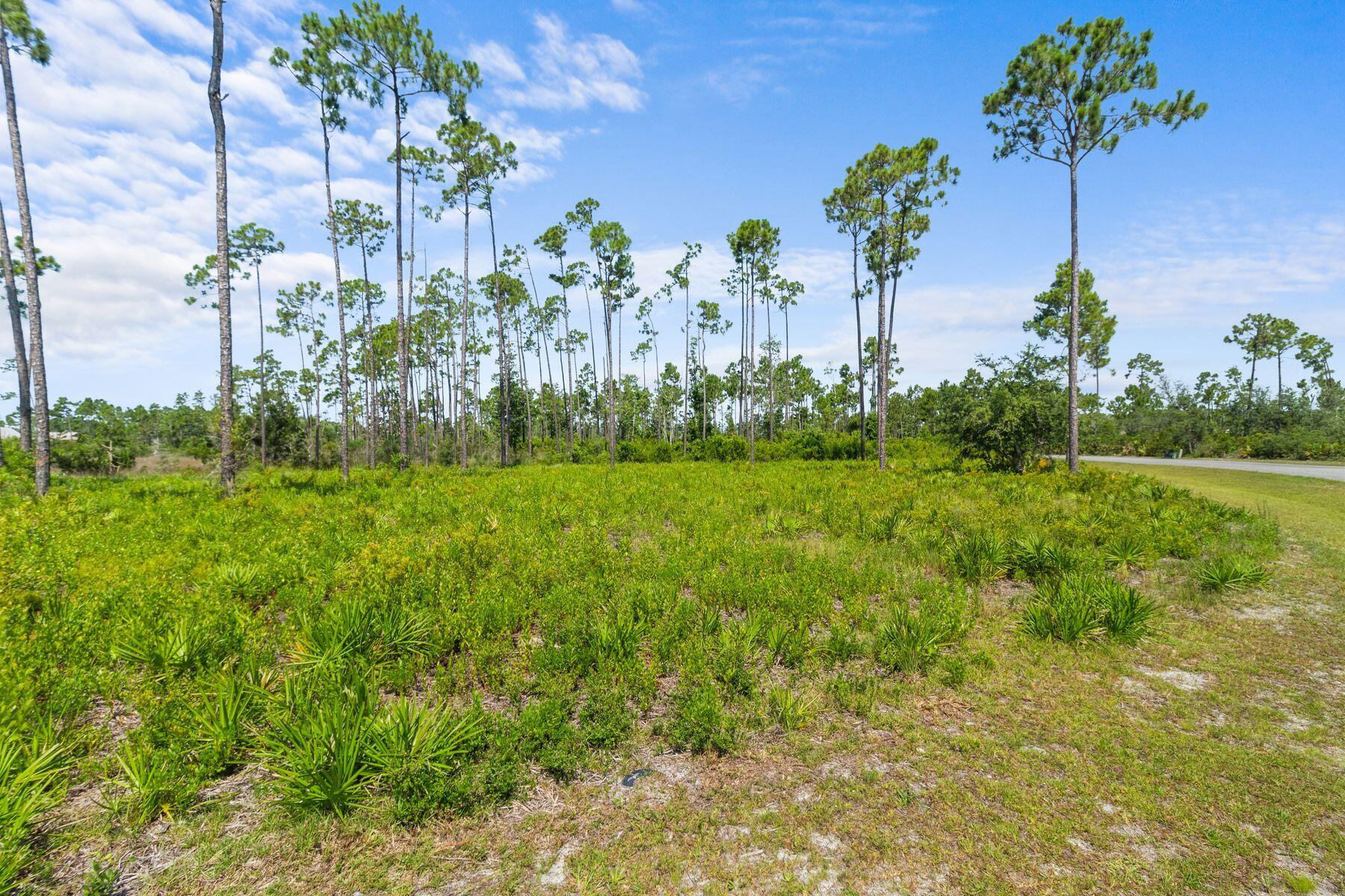 Laird Bayou - Land