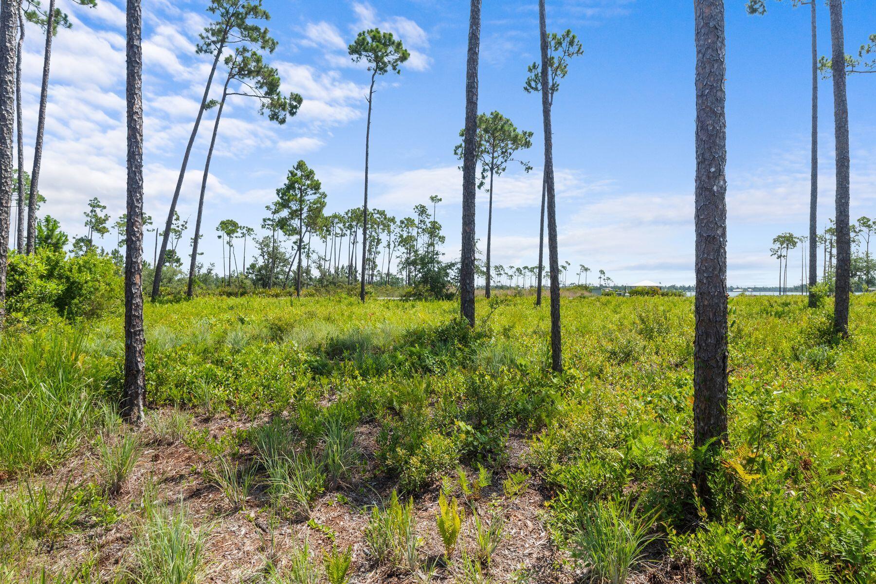 Laird Bayou - Land