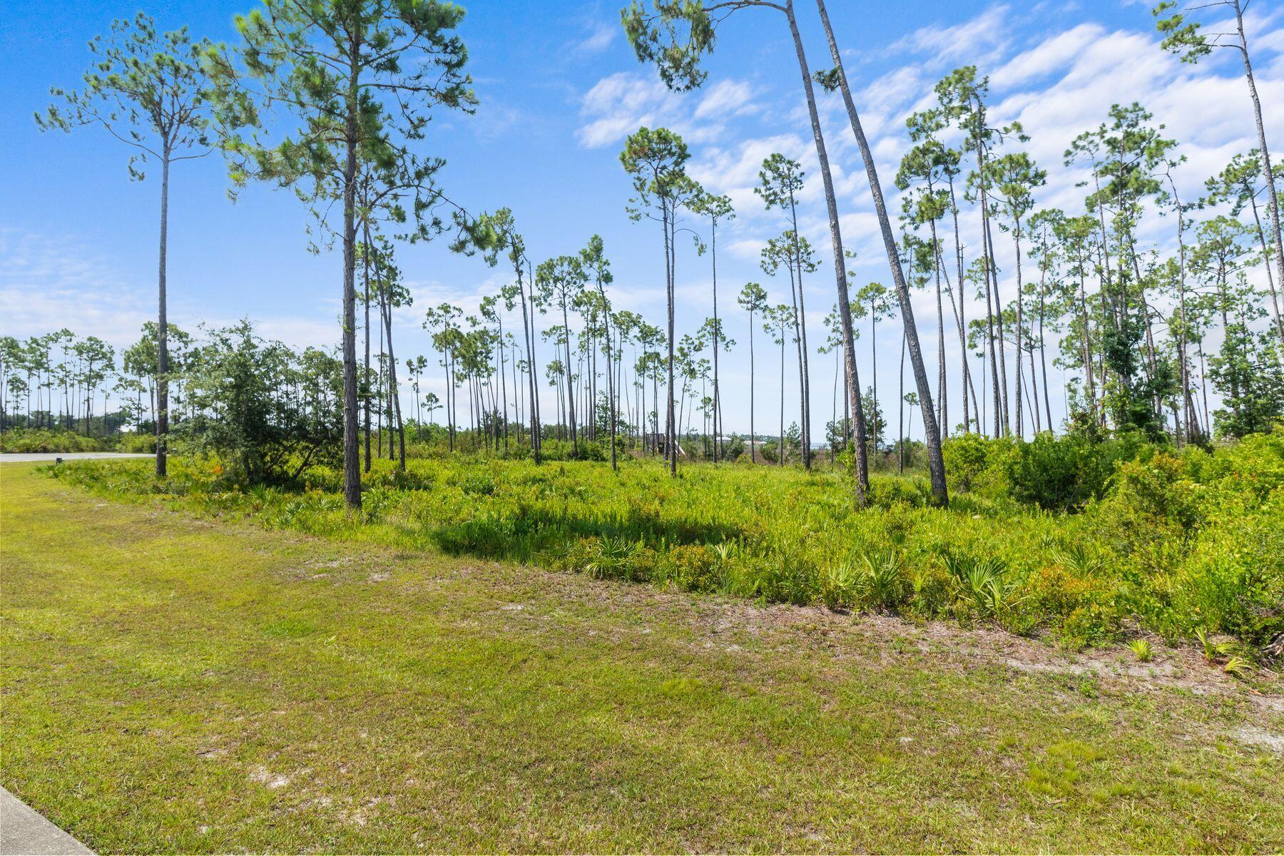 Laird Bayou - Land