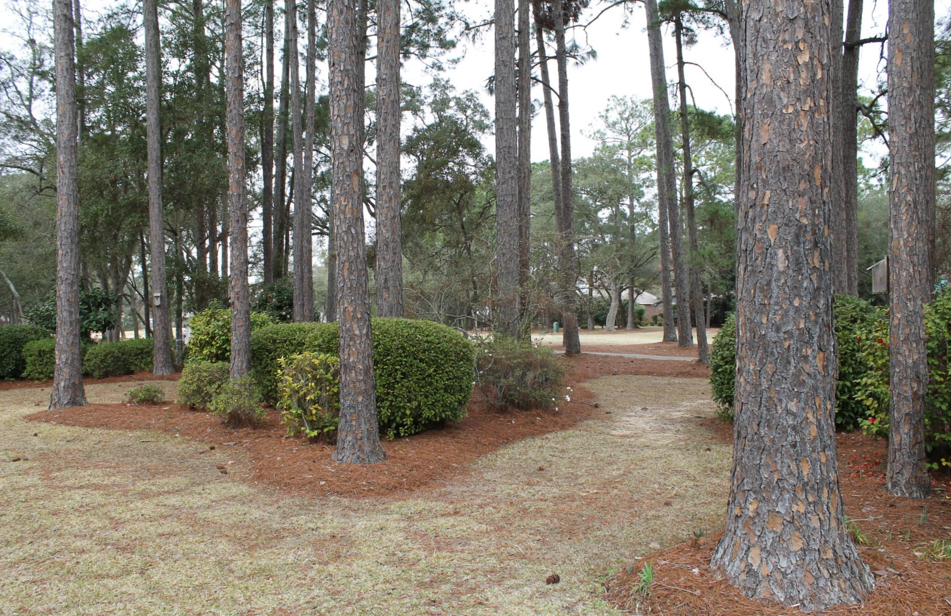 St. Andrews - Residential