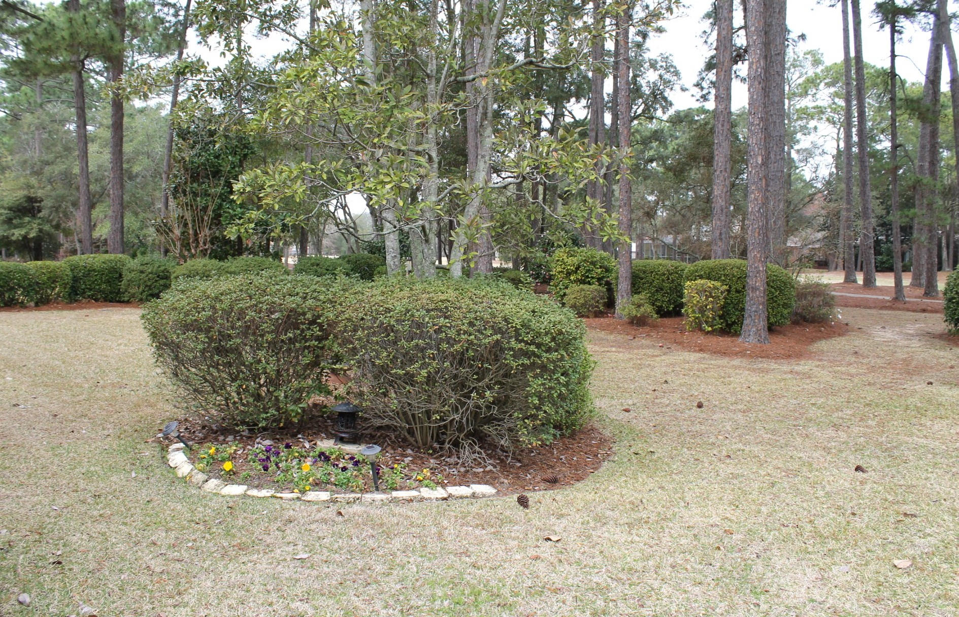 St. Andrews - Residential