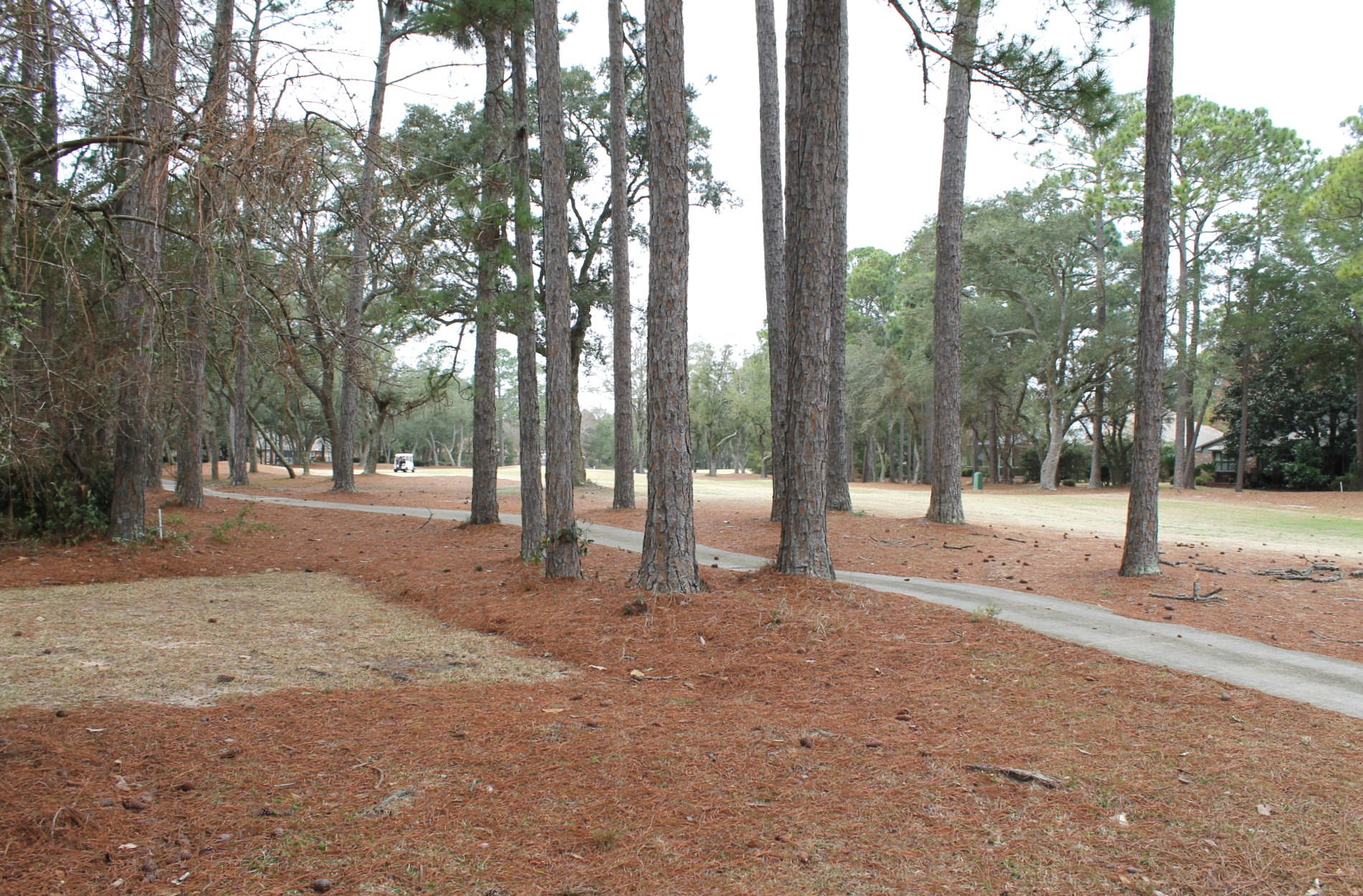 St. Andrews - Residential