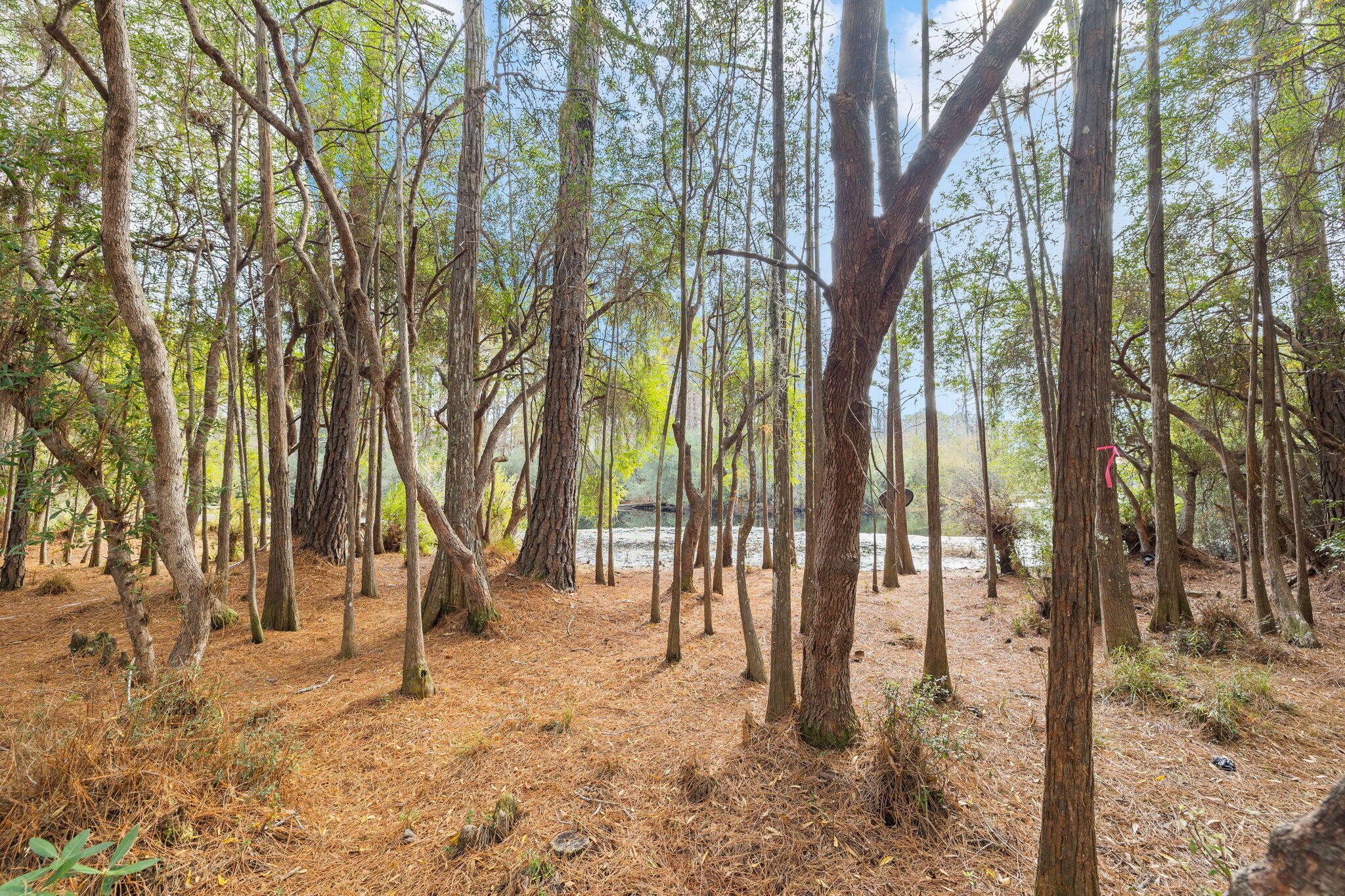 GULF HILLS ESTATES UNREC - Land