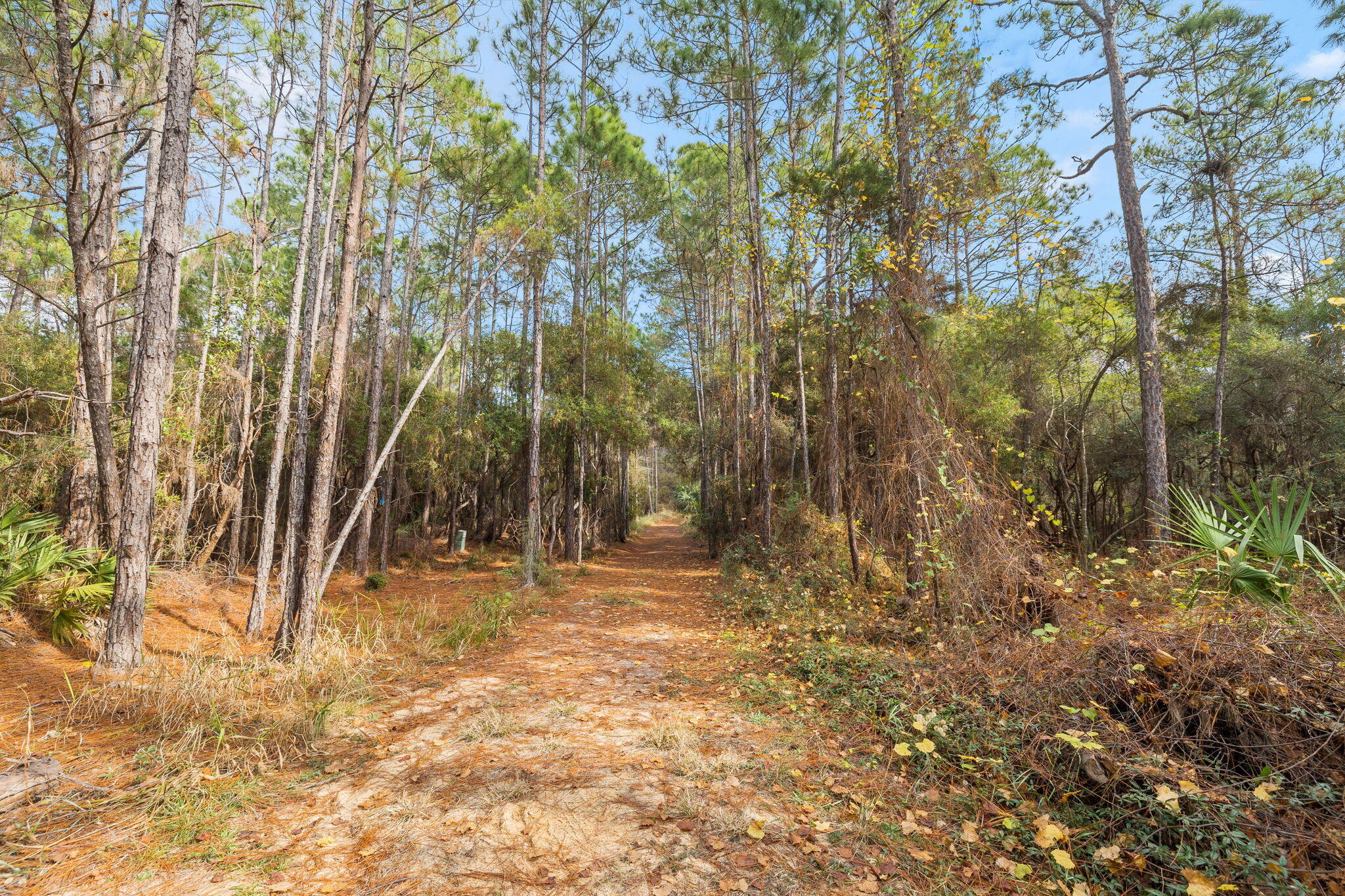 GULF HILLS ESTATES UNREC - Land