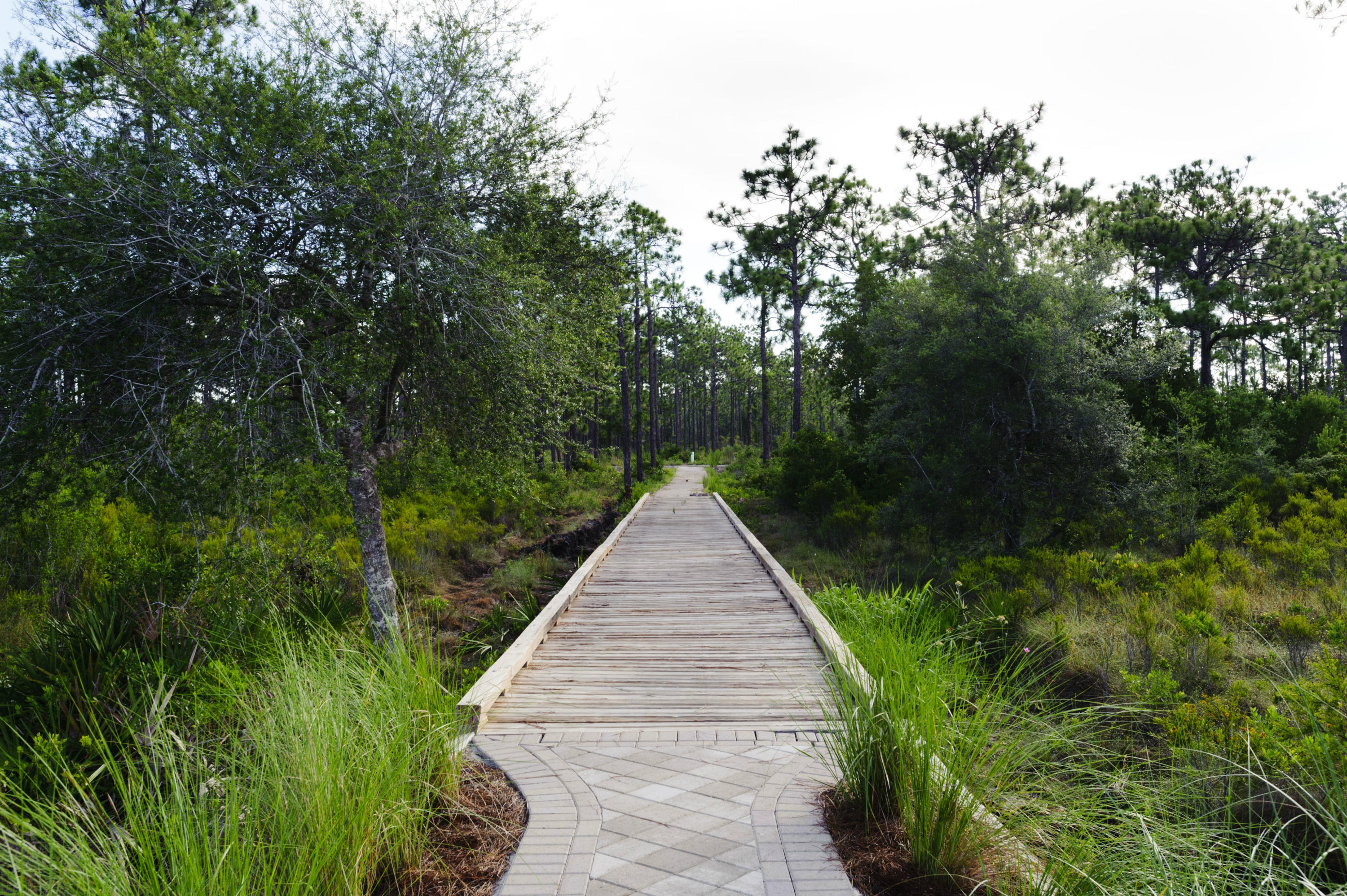 Naturewalk at Seagrove - Residential