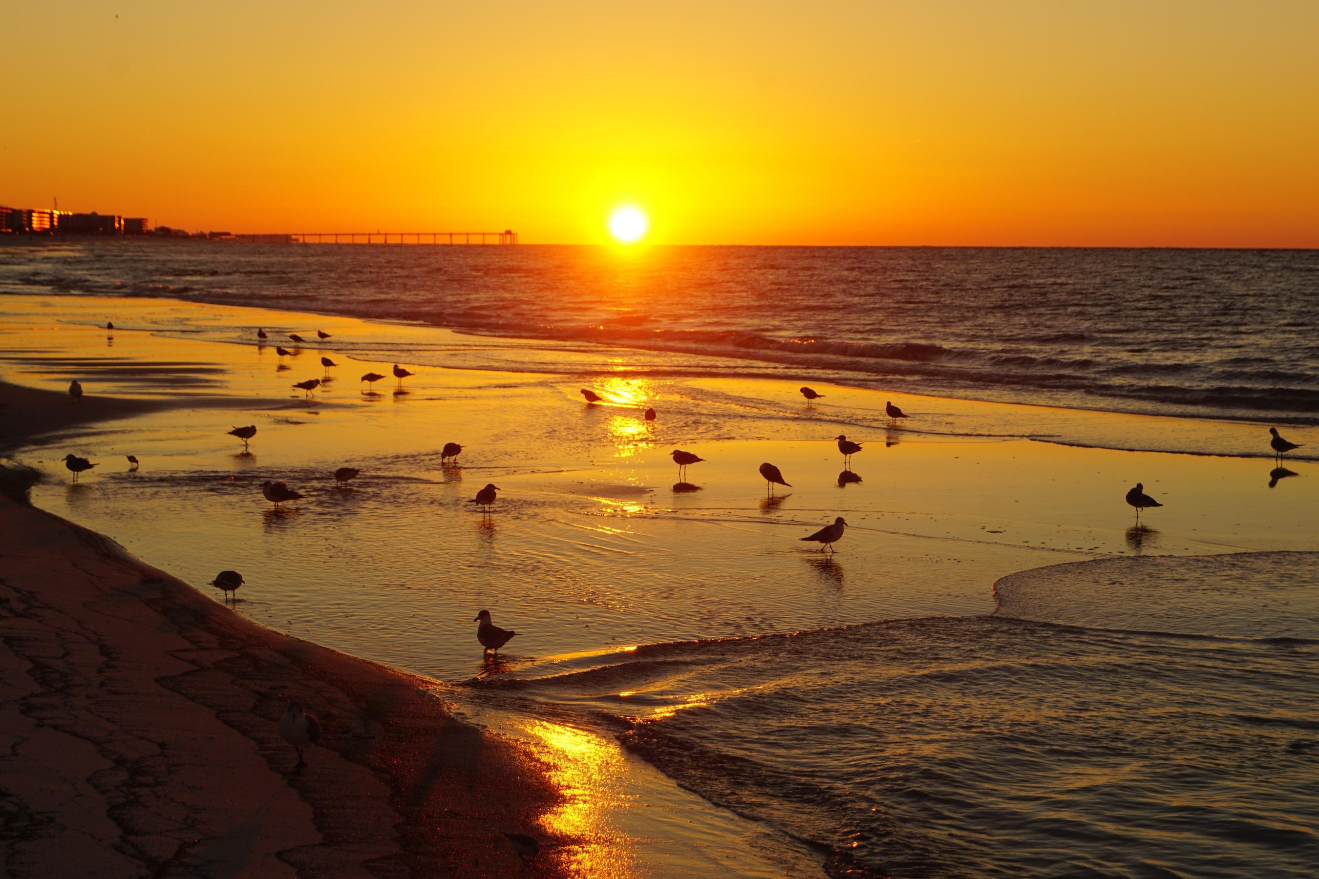 ISLANDER BEACH RESORT PH 2 - Residential