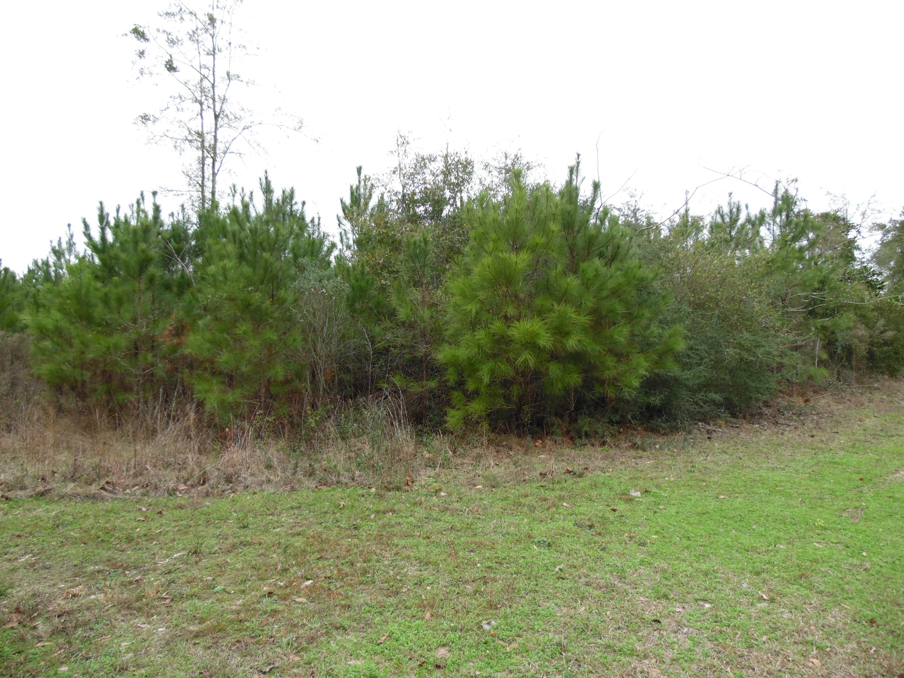 Metes and bounds - Land