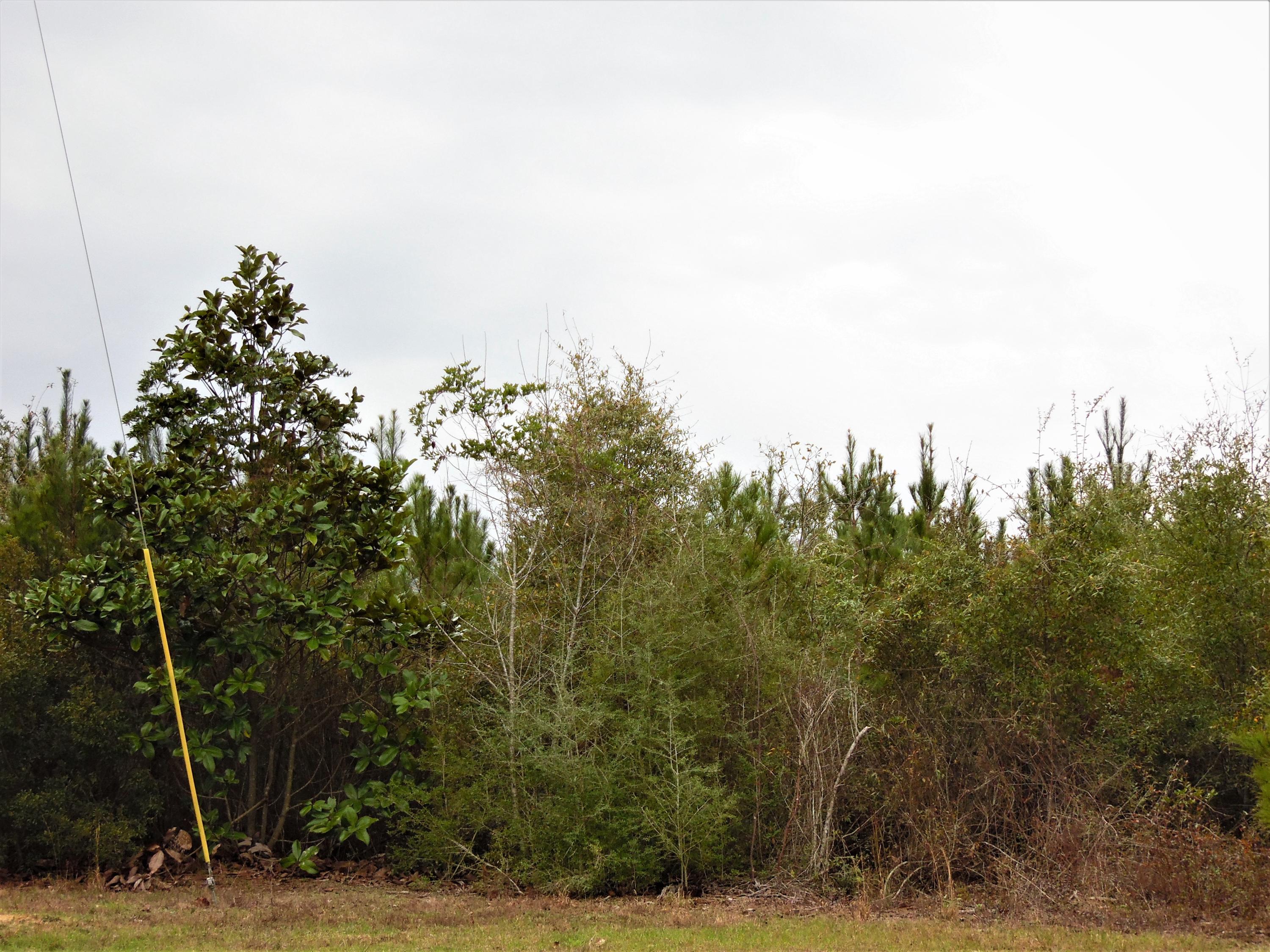 Metes and bounds - Land