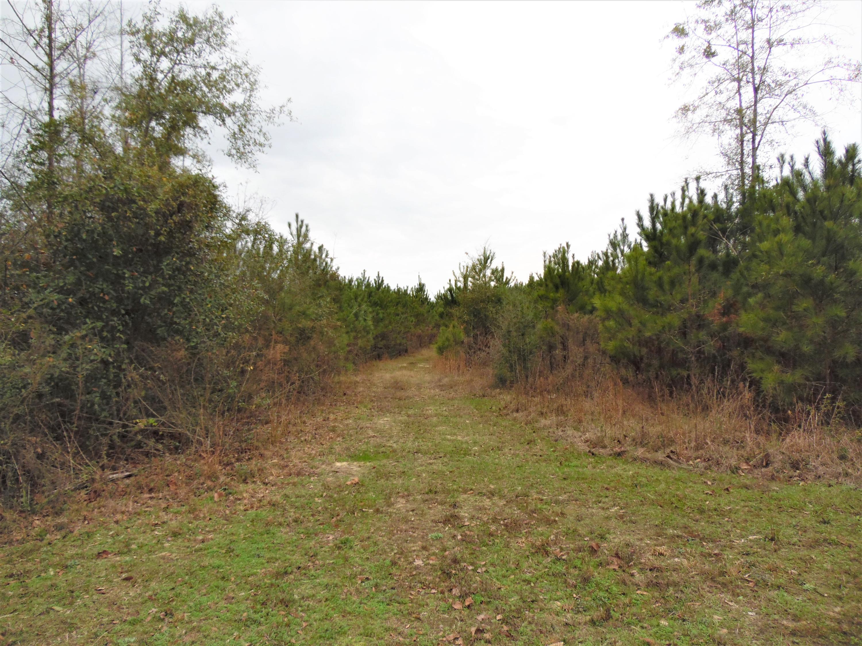 Metes and bounds - Land