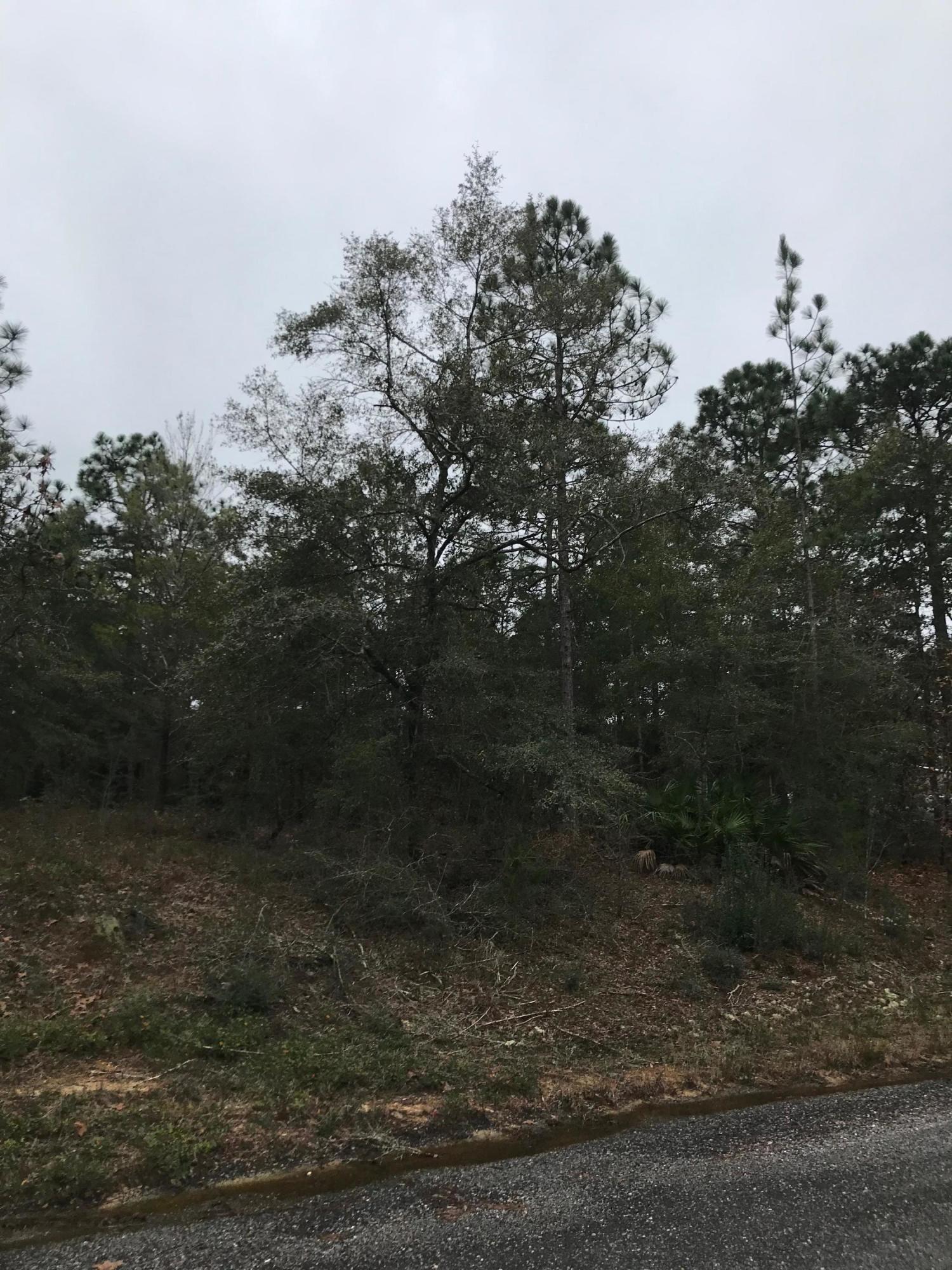 Priced to SELL!!!! Check out this level quarter acre lot on a PAVED road that is ready for you to build or place your manufactured home on. This location is conveniently to I-10 & 285, which makes it convenient to DeFuniak Springs, Crestview & Niceville. Seller has multiple lots available, call today to find out how to bundle and buy more for LESS!