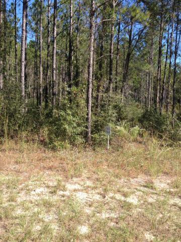 WHISPERS AT HAMMOCK BAY - Land