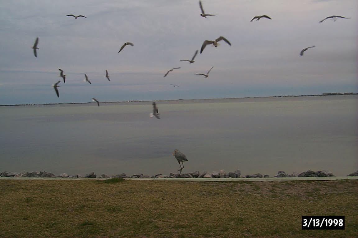 FINISTERRA CONDO - Residential