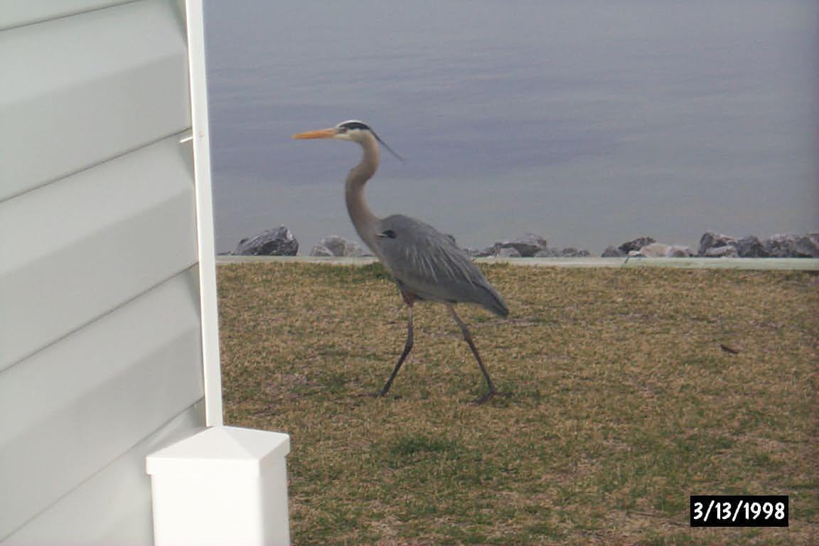 FINISTERRA CONDO - Residential