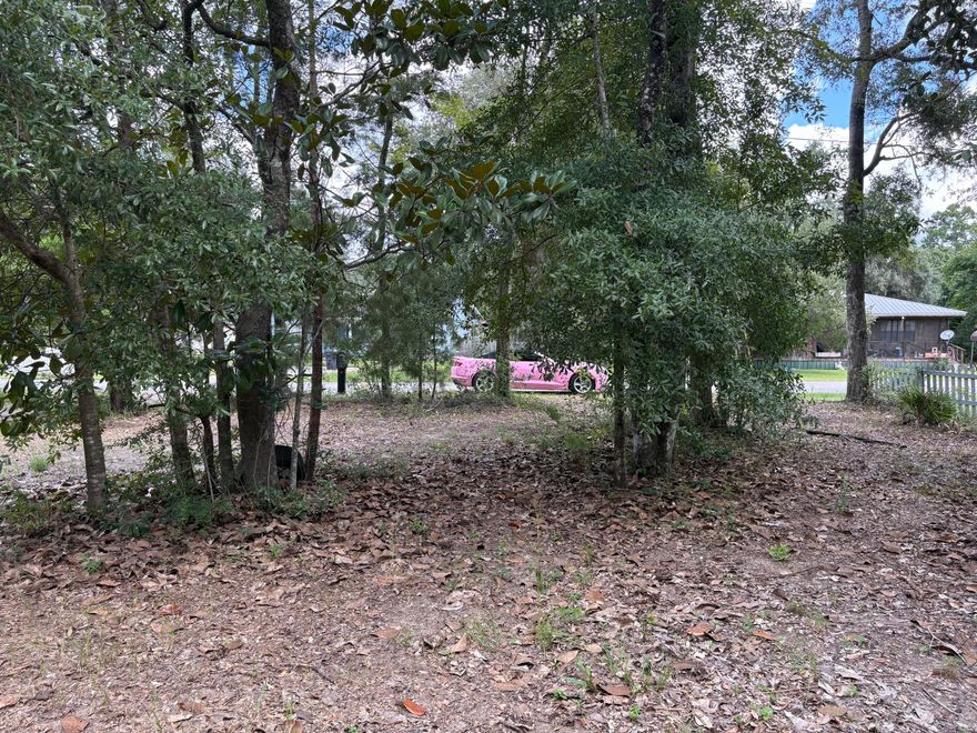 Perfect spot for your new mobile home, Tiny Home, or Single Family Home. All utilities are present. There used to be a mobile home on the lot, which has been removed.