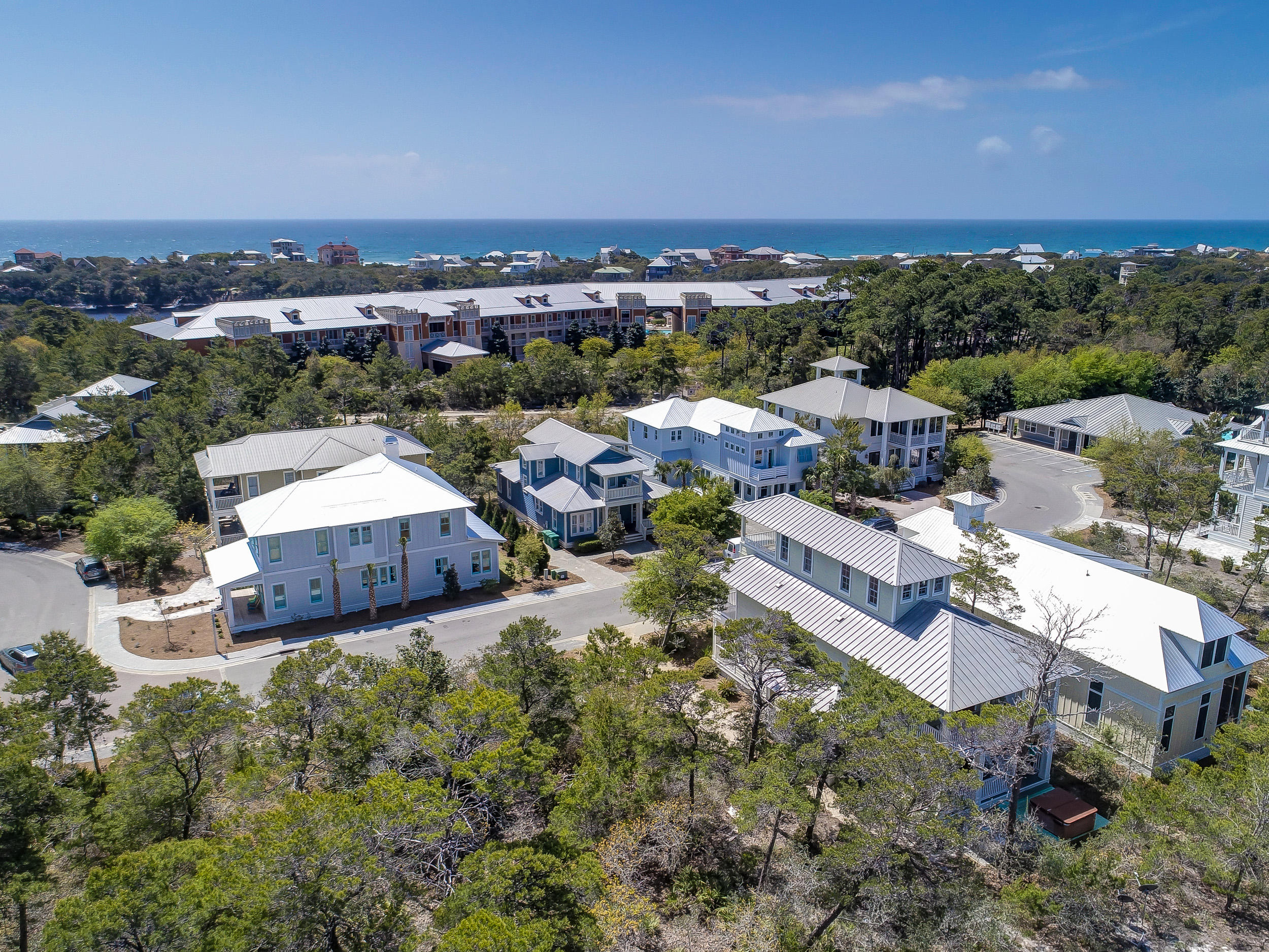 THE PRESERVE AT GRAYTON BEACH - Residential