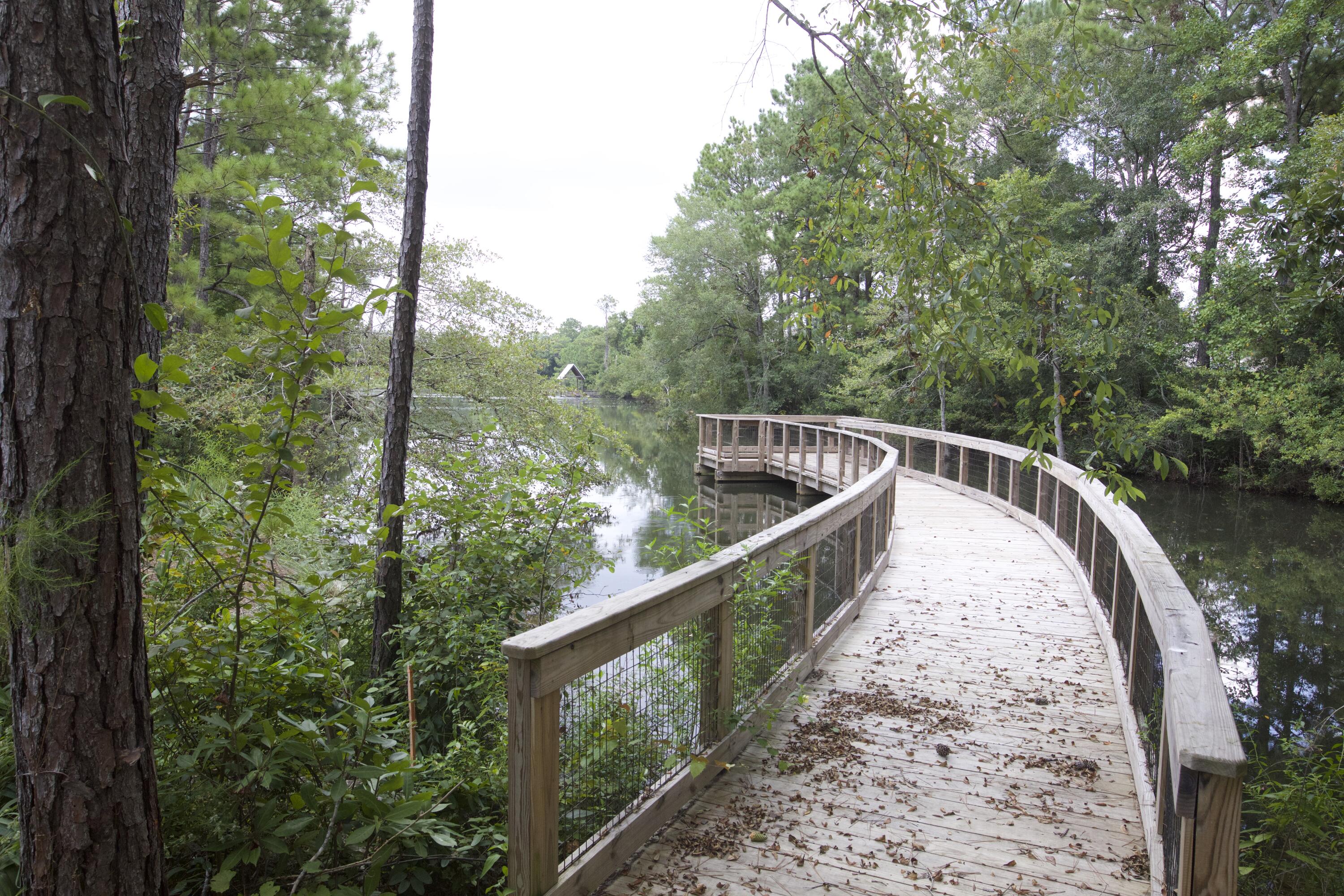 Lafayette Creek Landing - Land