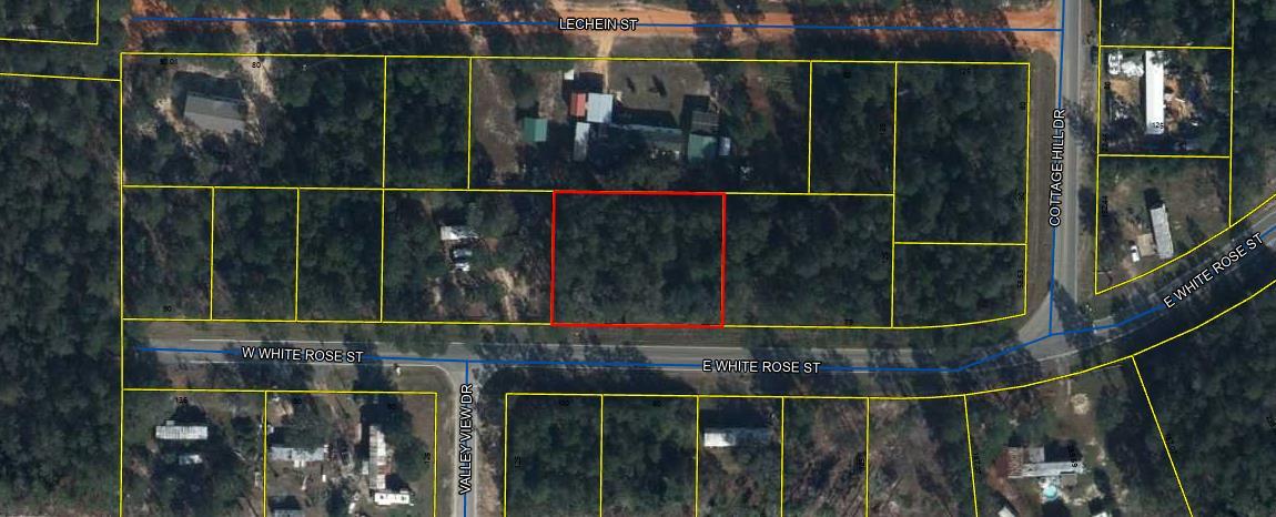 Looking for land! Two adjacent lots available, offering the flexibility to keep them single expansive property or split them into two separate parcels. Property flood Zone X. Zoned Rural low Density. No RV allowed. Can build detached single family, tiny homes, and mobile home per Walton County. Well and septic needed.