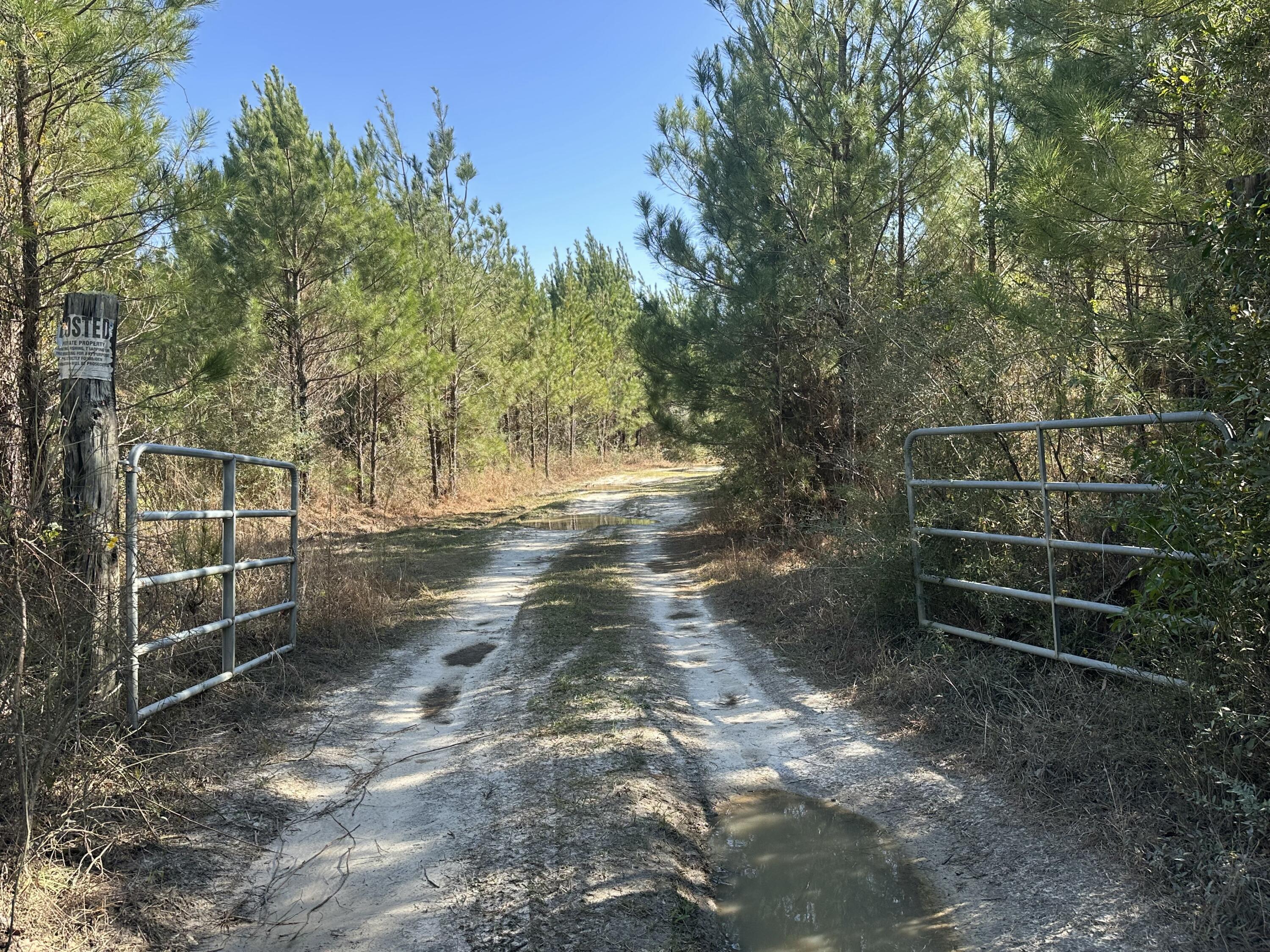 An exceptional opportunity awaits with this sprawling 203+/- acre parcel of land, strategically located in the heart of Bonifay, Florida. This prime property offers a wealth of possibilities for developers, investors, and outdoor enthusiasts alike.